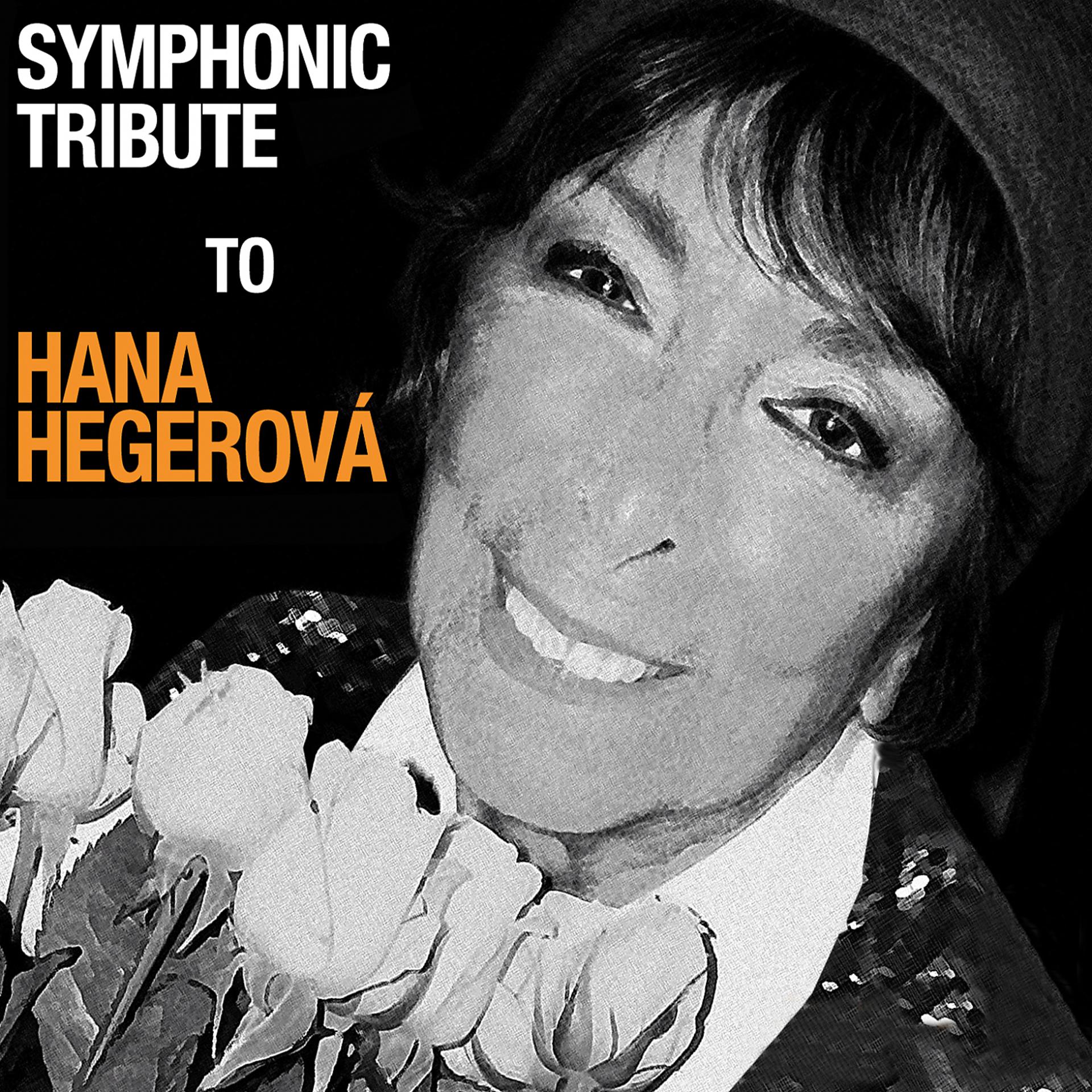 Постер альбома Symphonic Tribute to Hana Hegerová