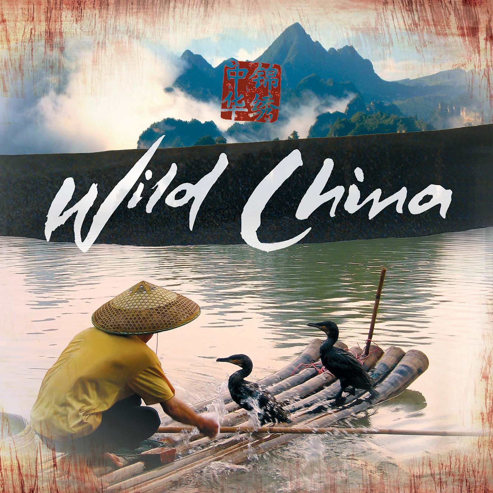 Постер альбома Wild China (Original Soundtrack)
