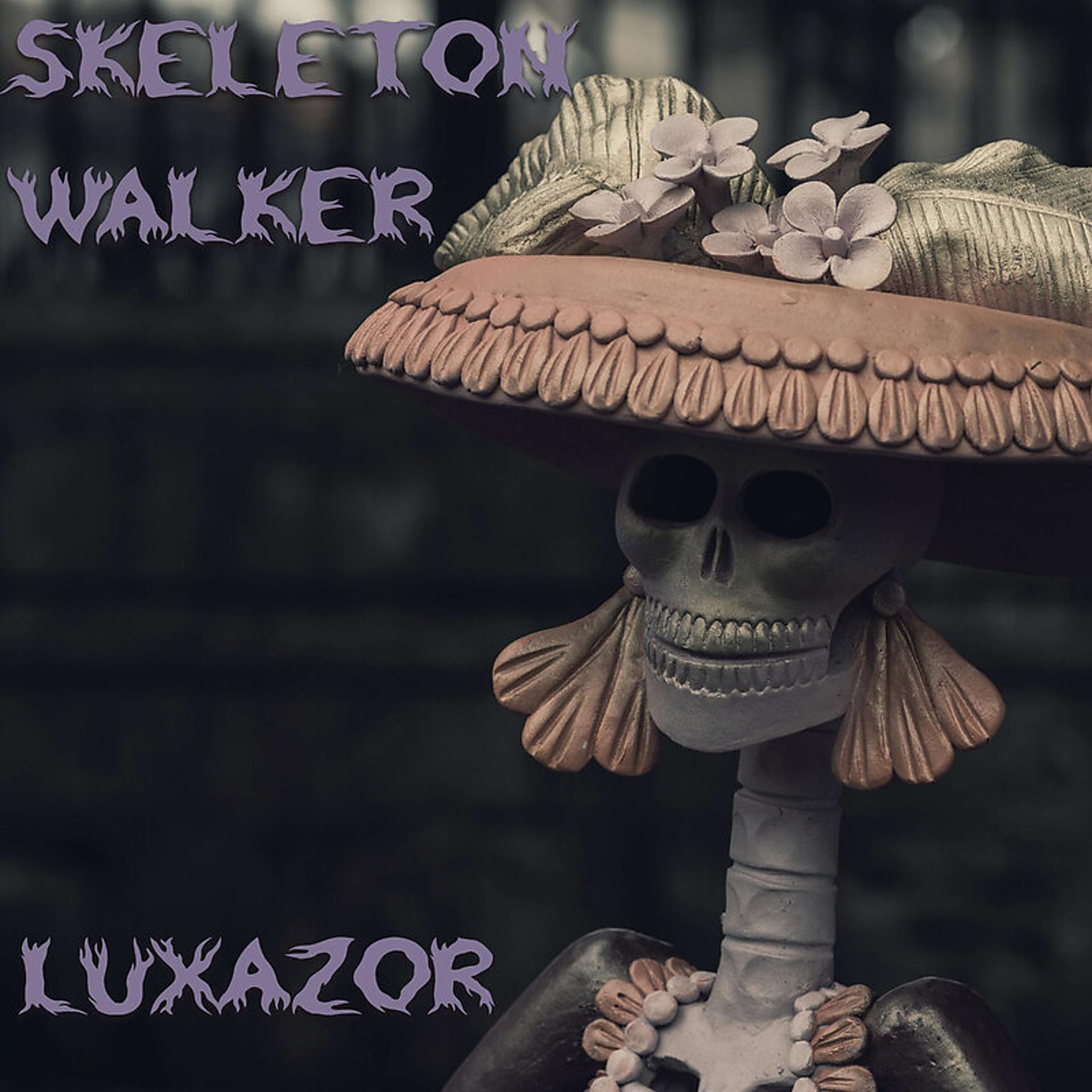 Постер альбома phonk skeleton walker