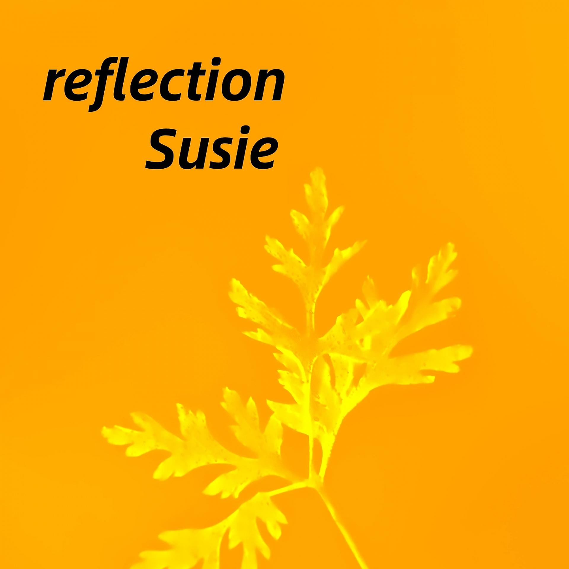 Постер альбома reflection