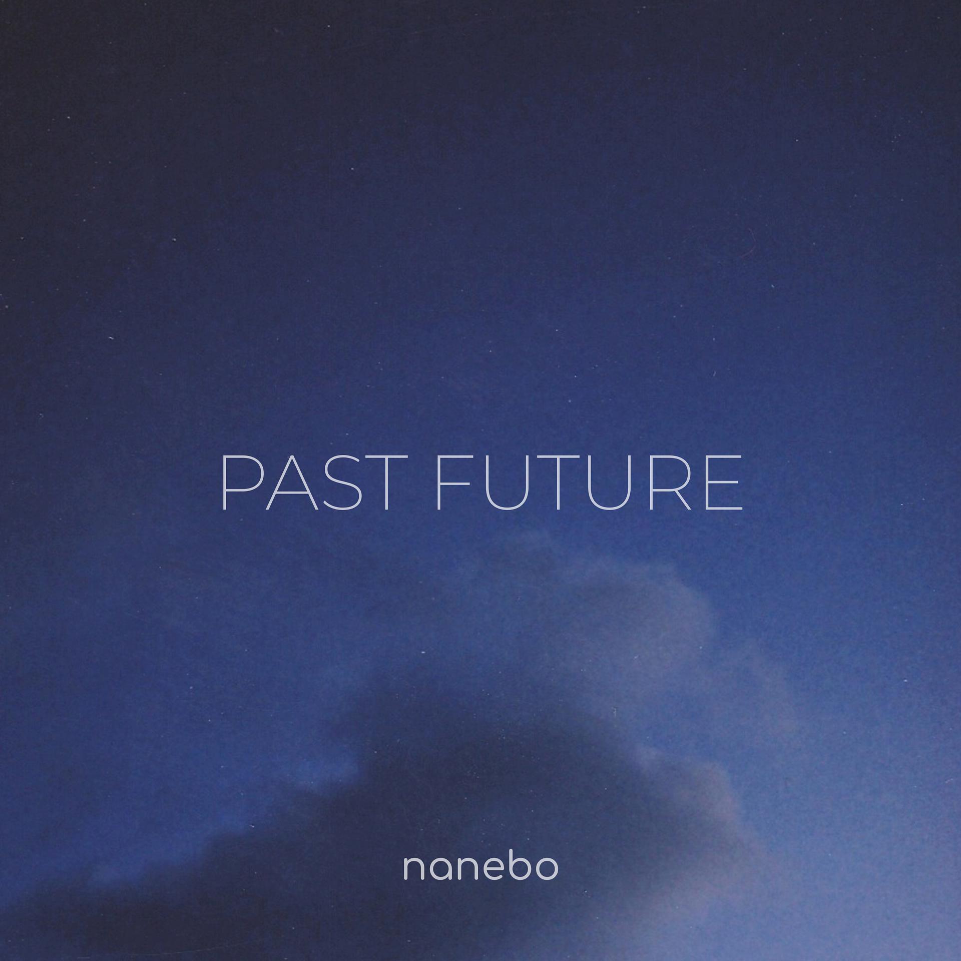 Постер альбома Past Future