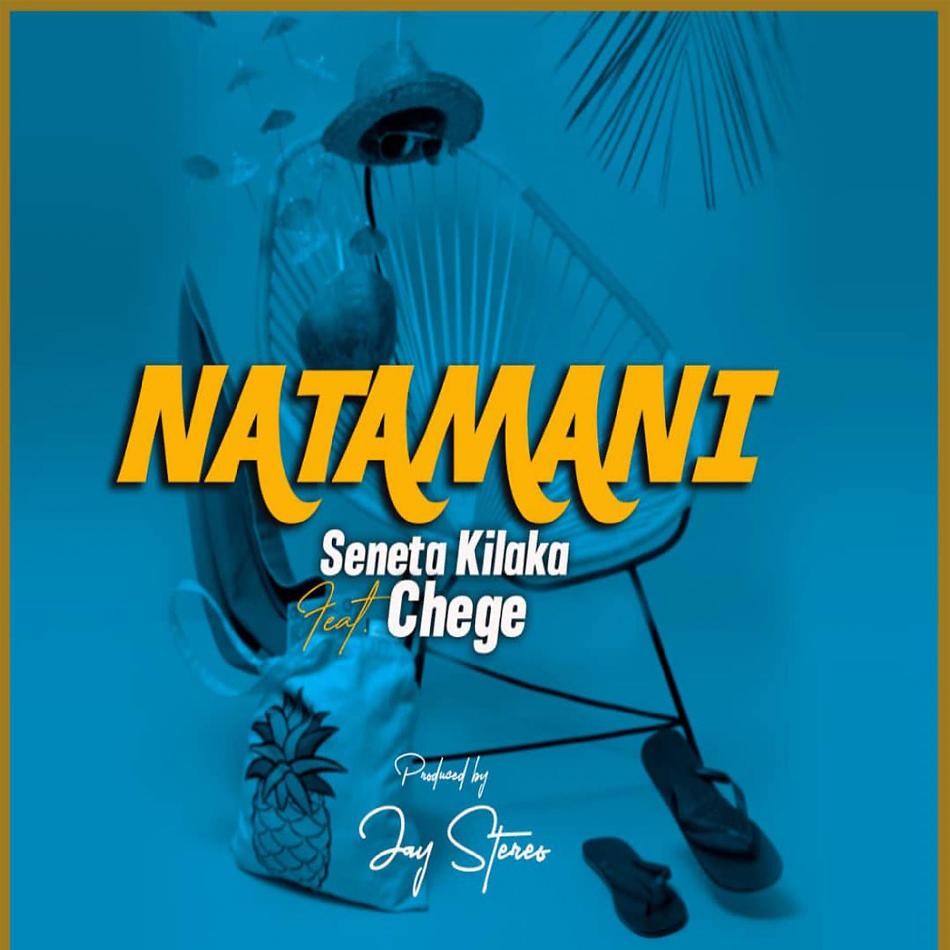 Постер альбома Natamani
