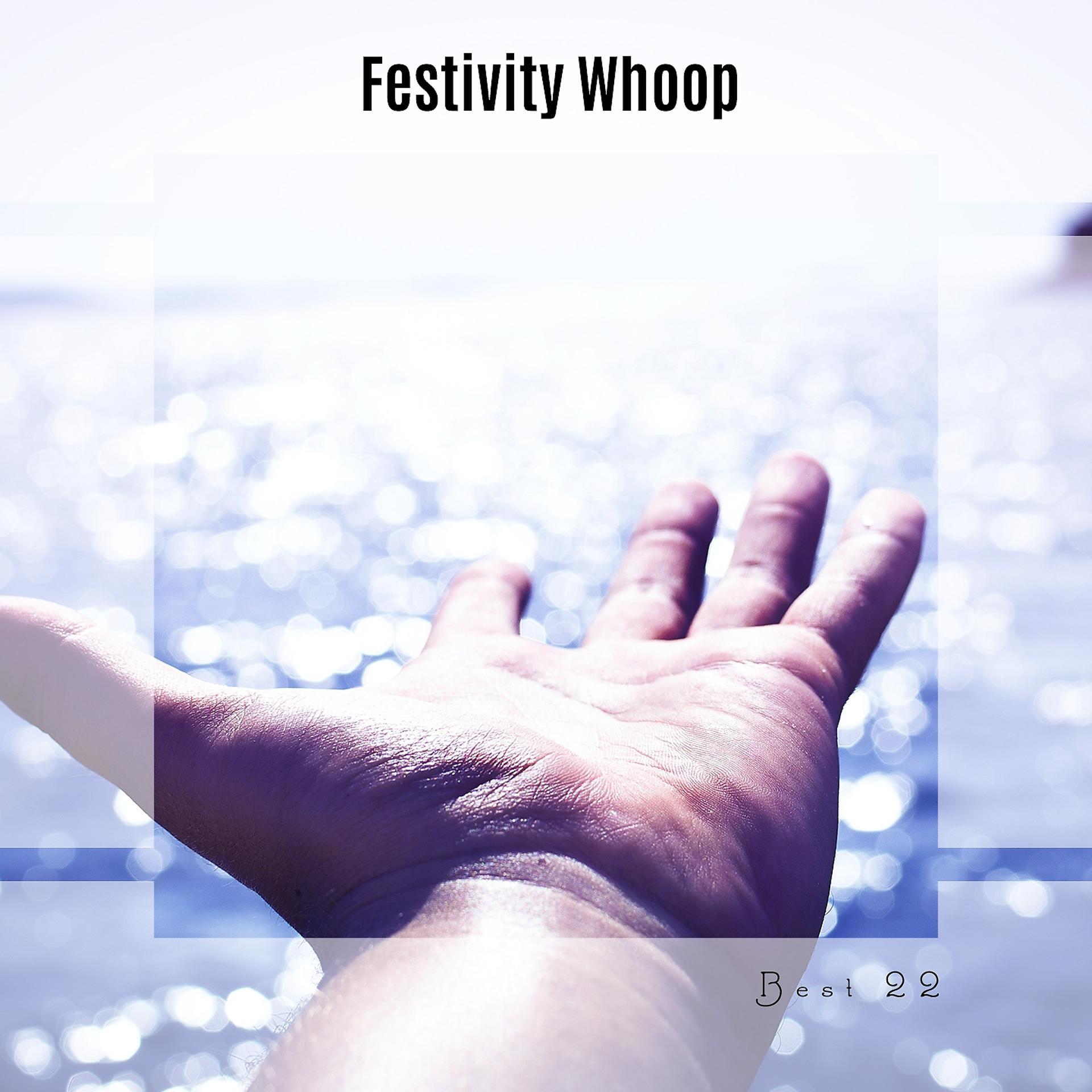 Постер альбома Festivity Whoop Best 22