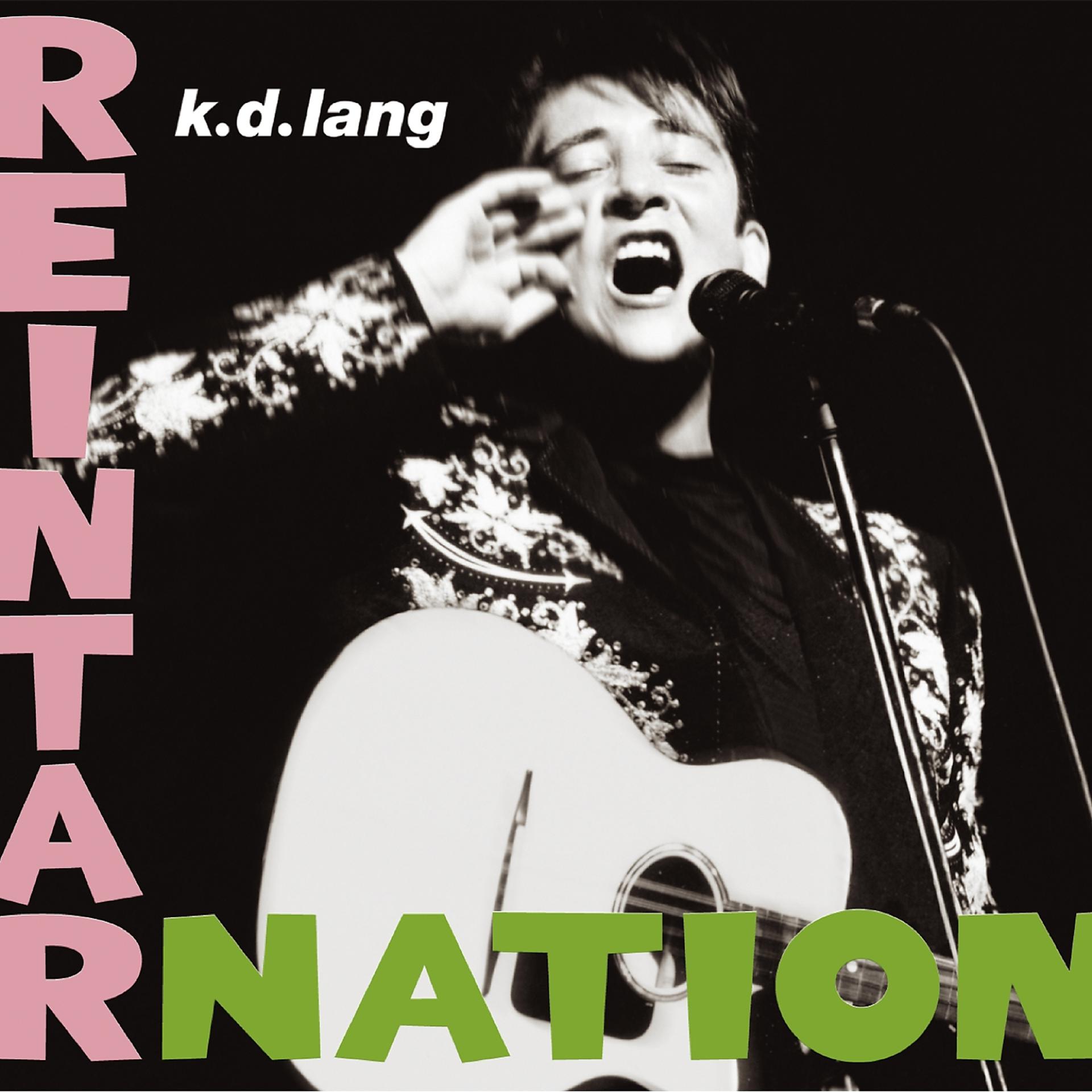 Постер альбома Reintarnation