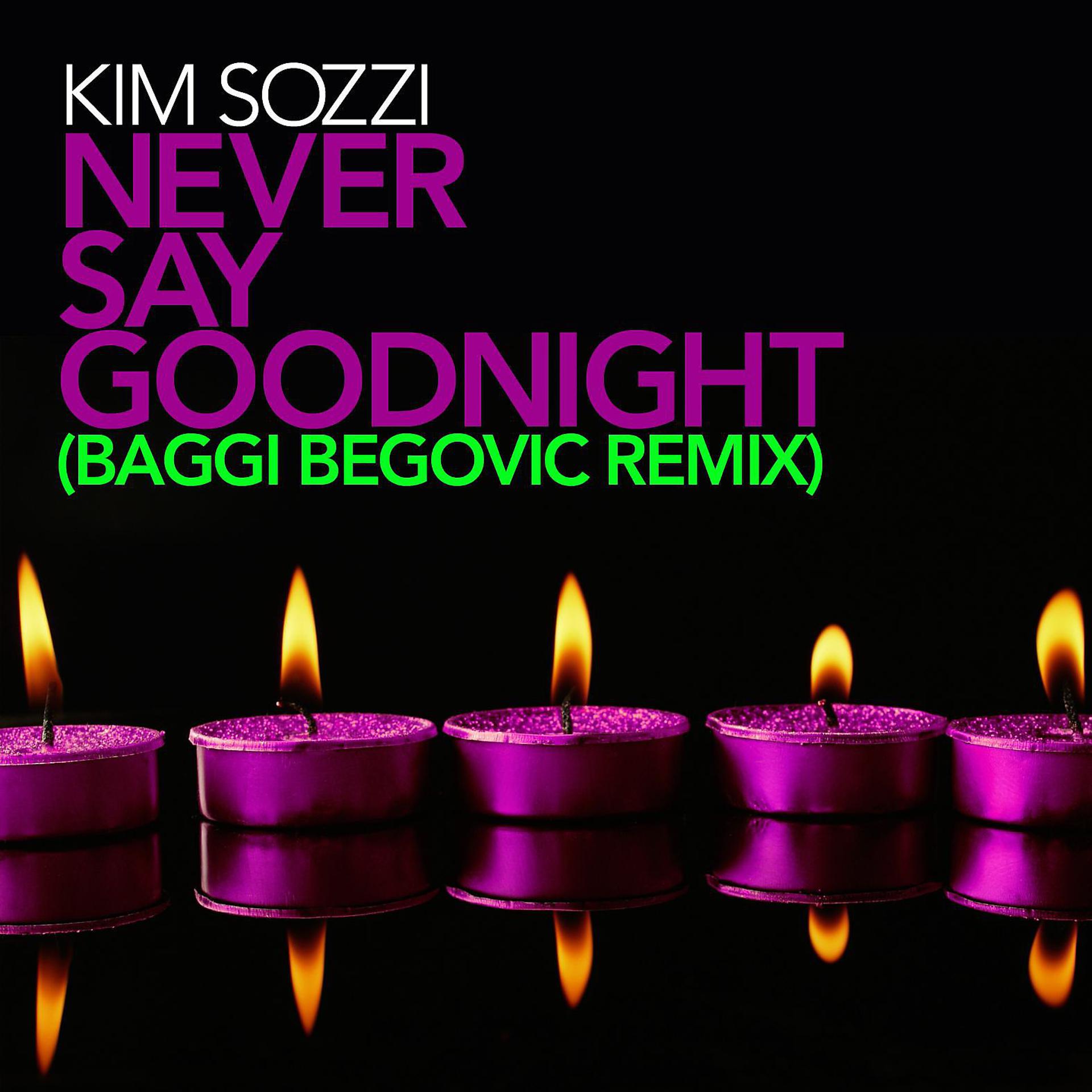 Постер альбома Never Say Goodnight - Baggi Begovic Remixes