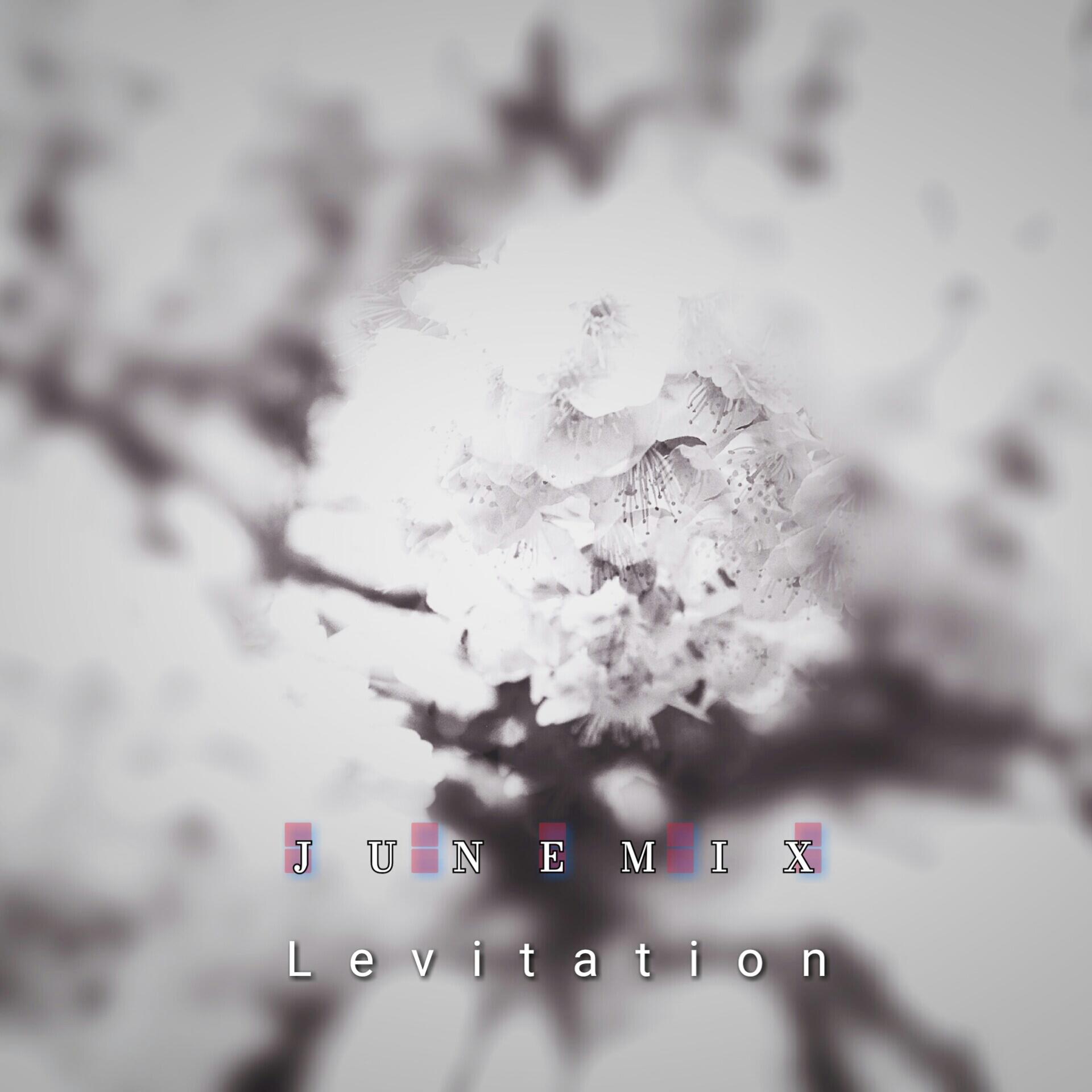 Постер альбома Levitation