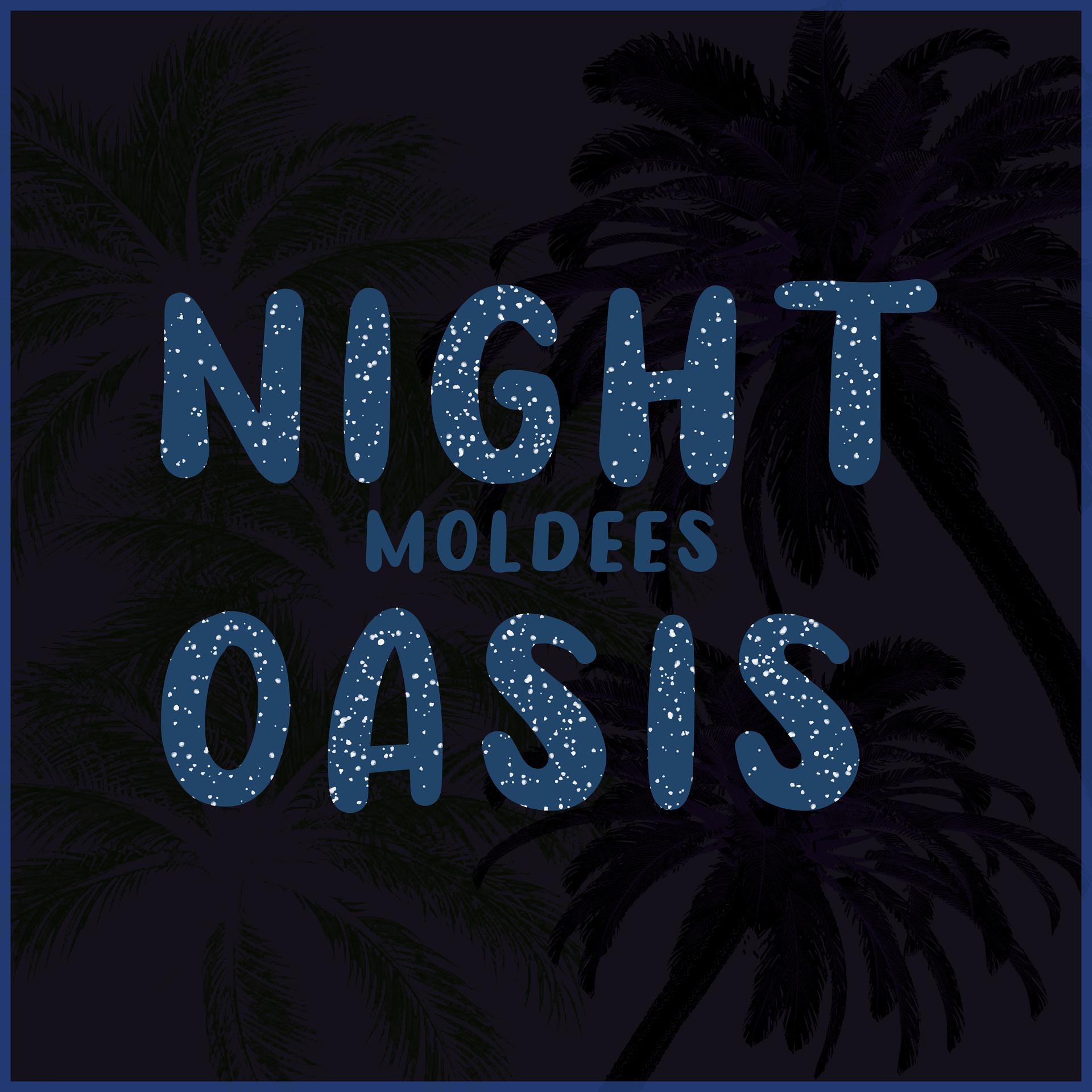 Постер альбома Night Oasis