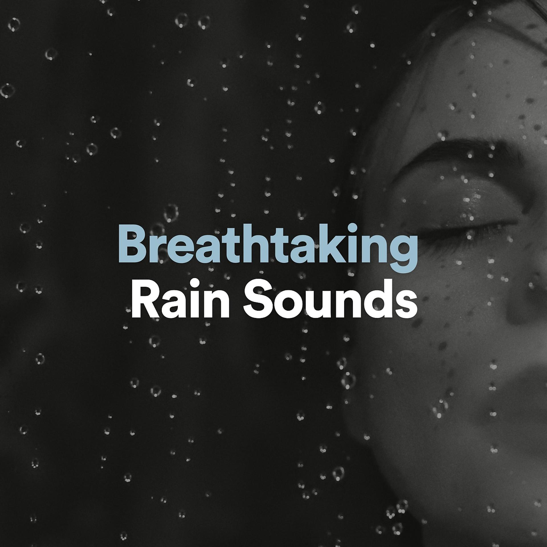 Постер альбома Breathtaking Rain Sound