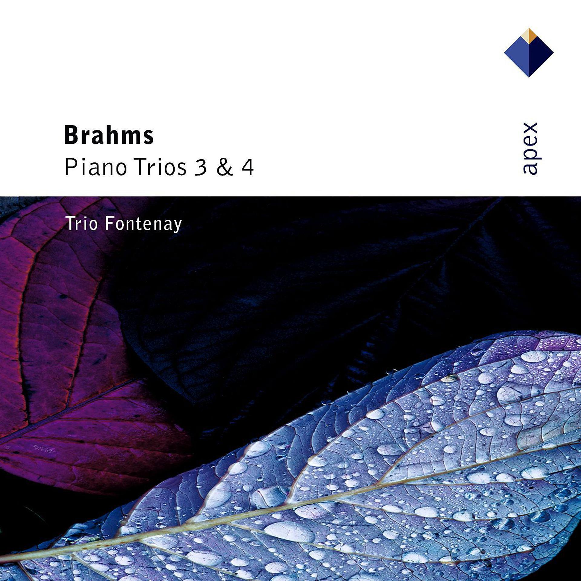 Постер альбома Brahms : Piano Trios Nos 3 & 4  -  Apex