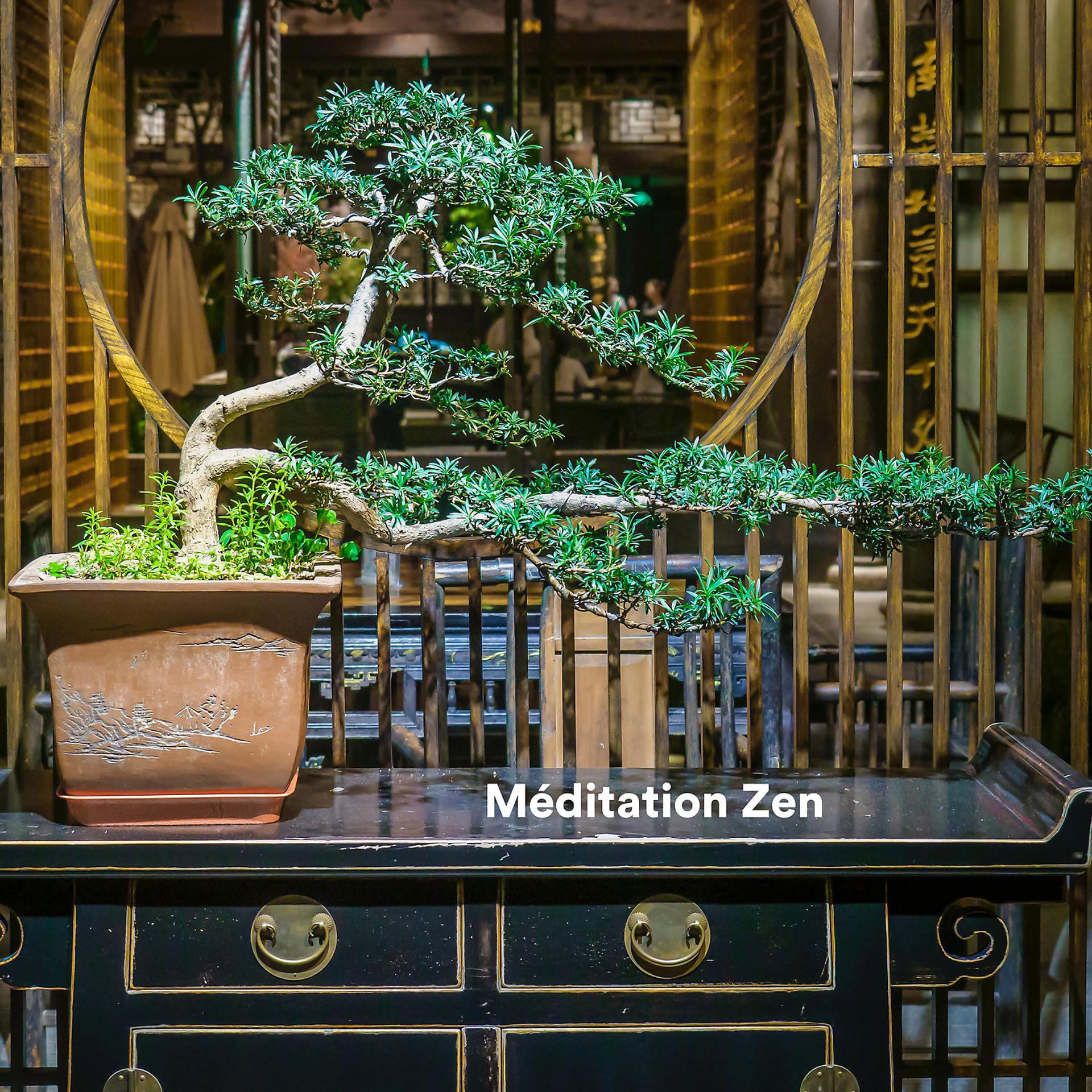 Постер альбома Méditation zen