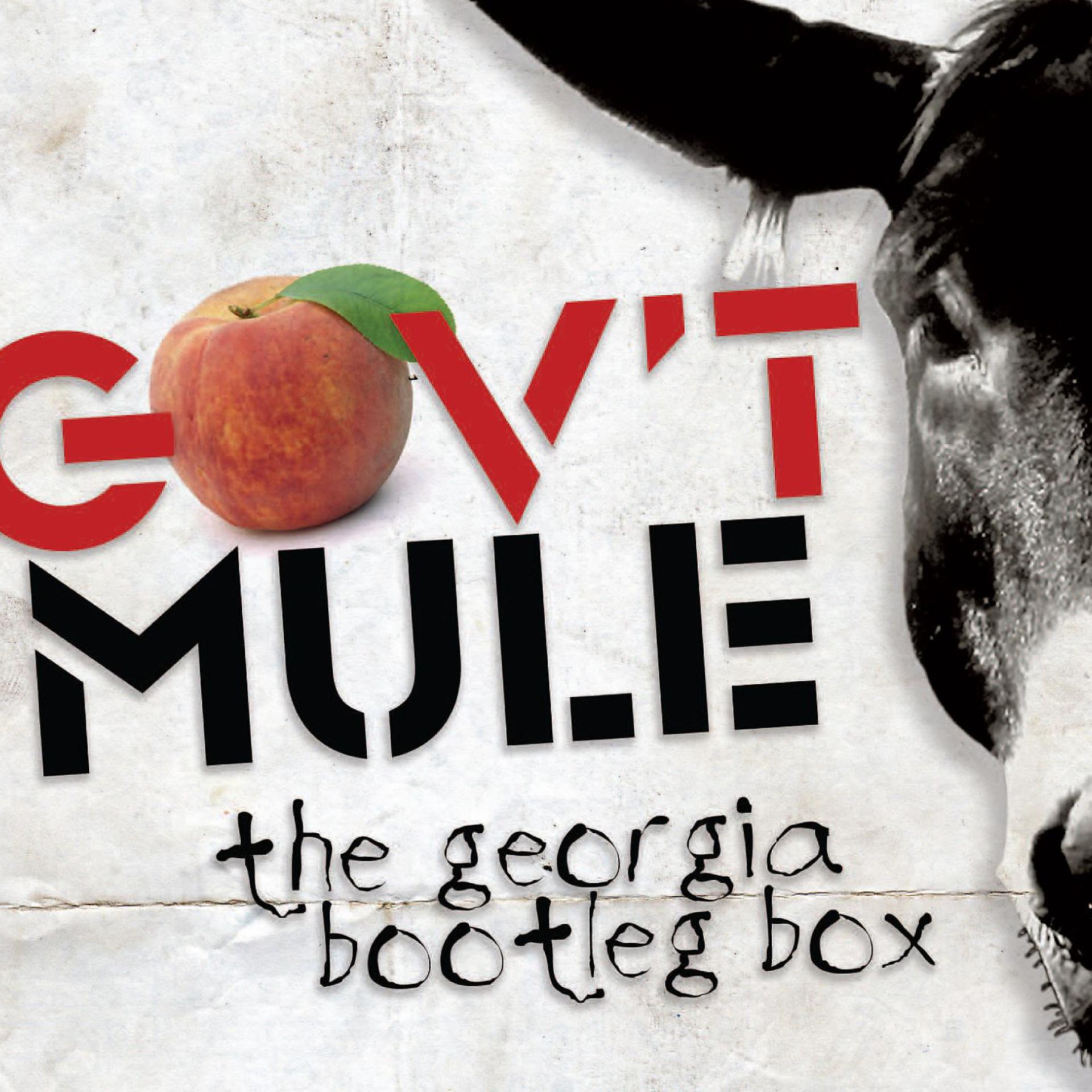 Постер альбома Georgia Bootleg