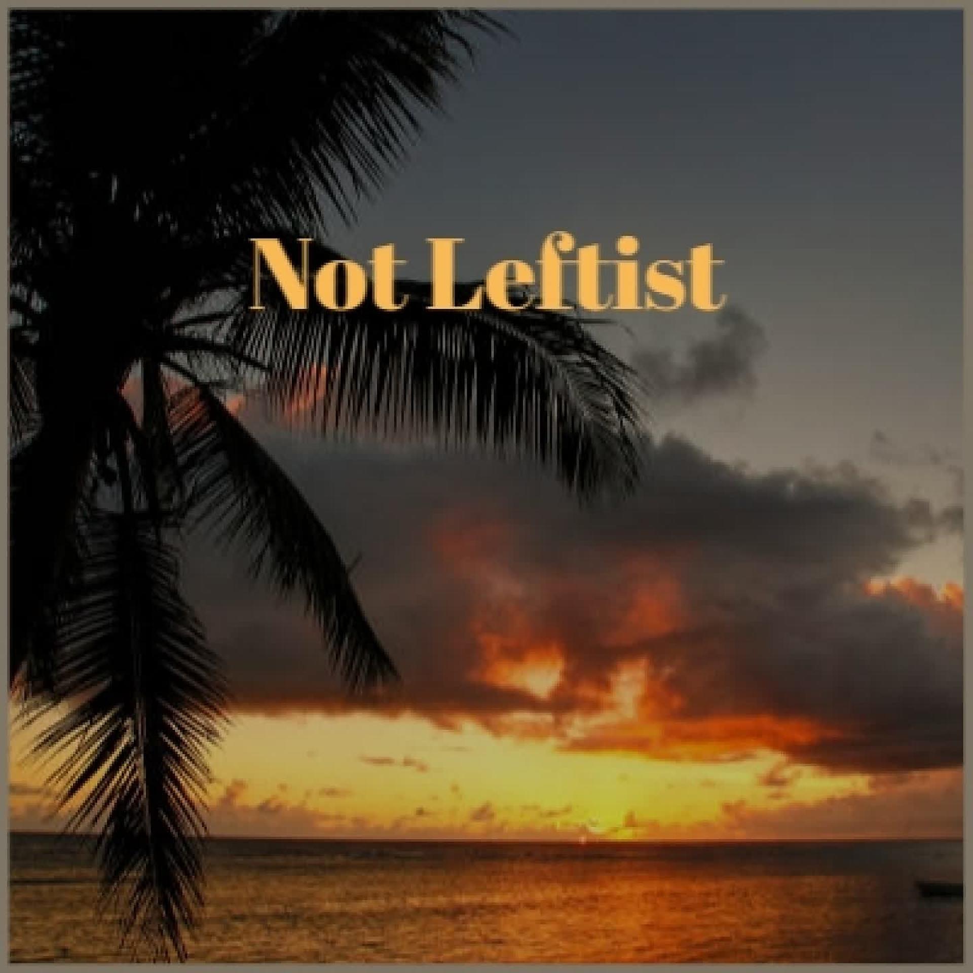 Постер альбома Not Leftist