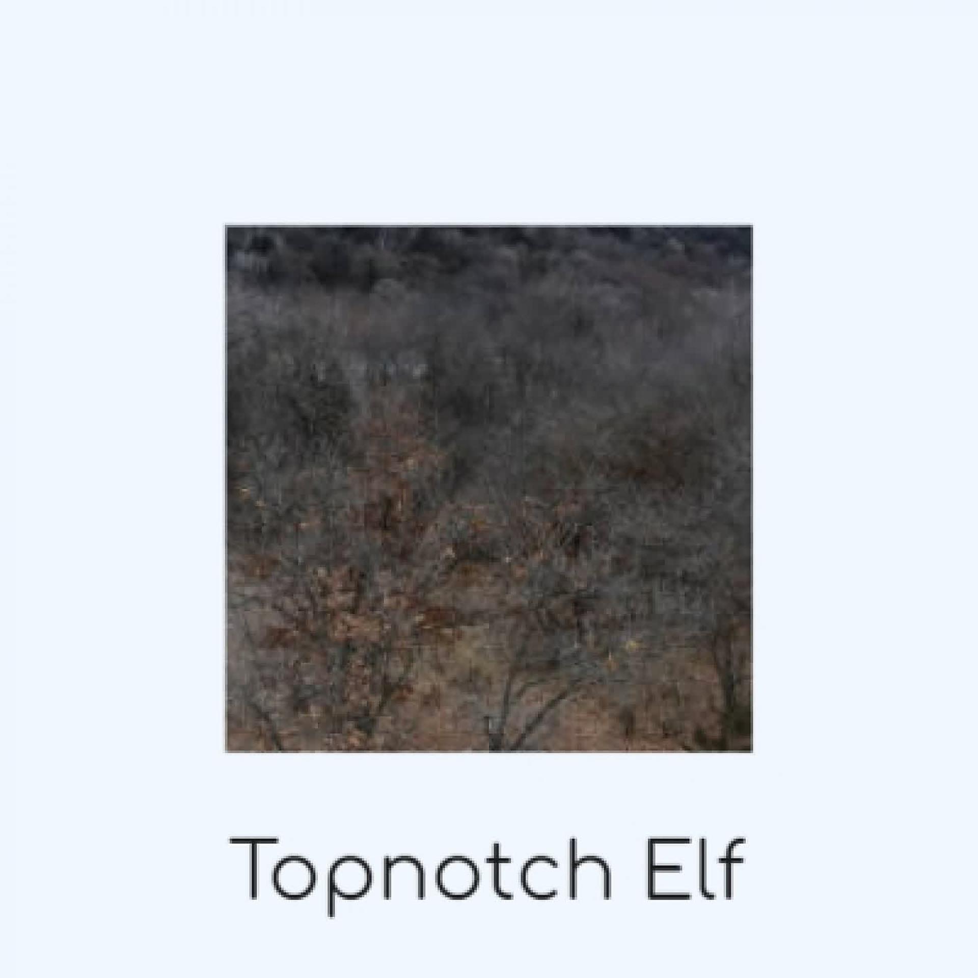 Постер альбома Topnotch Elf