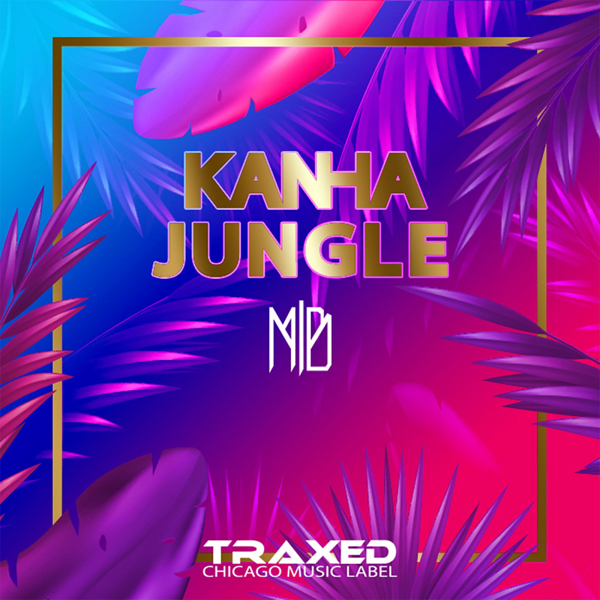 Постер альбома Kanha Jungle