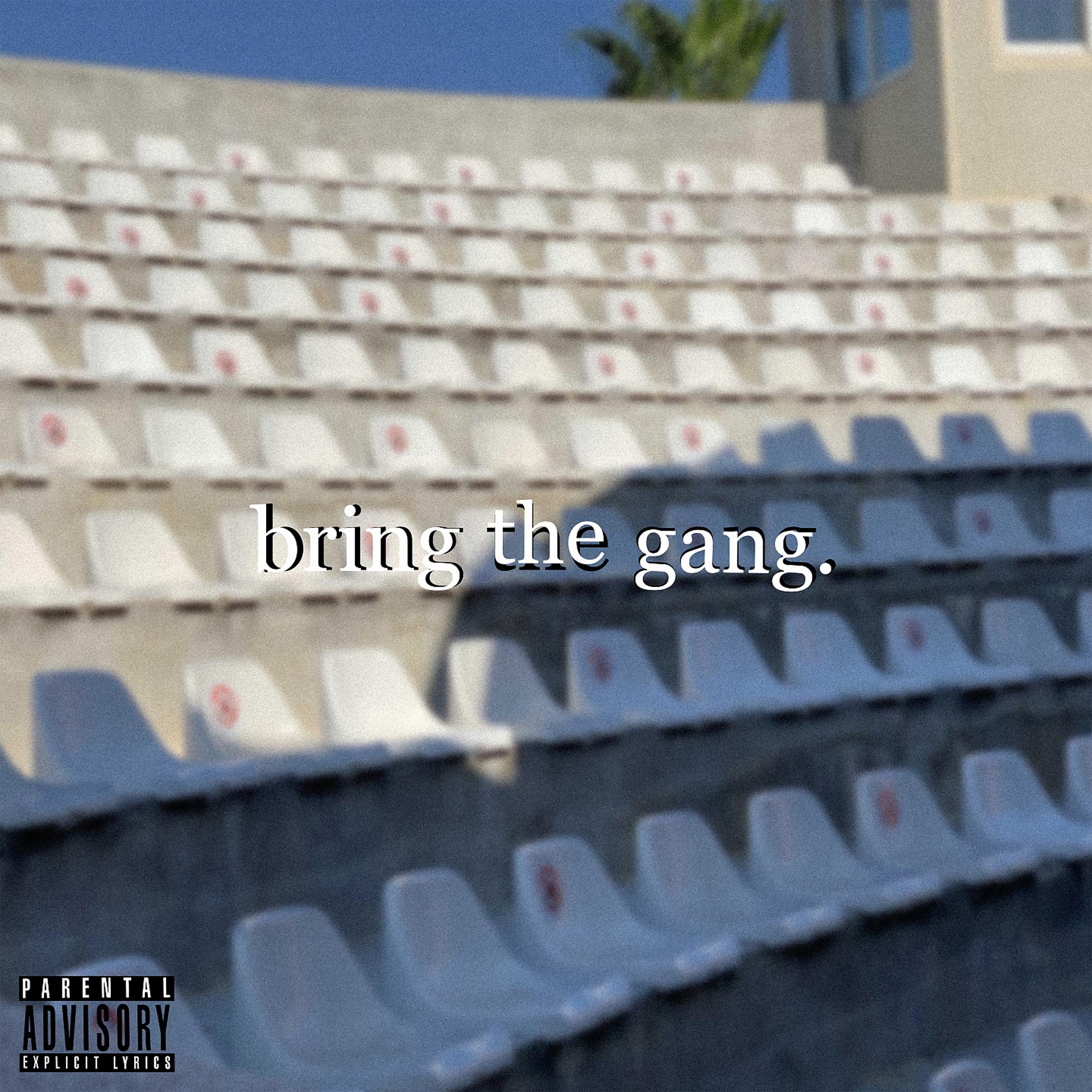 Постер альбома Bring the Gang