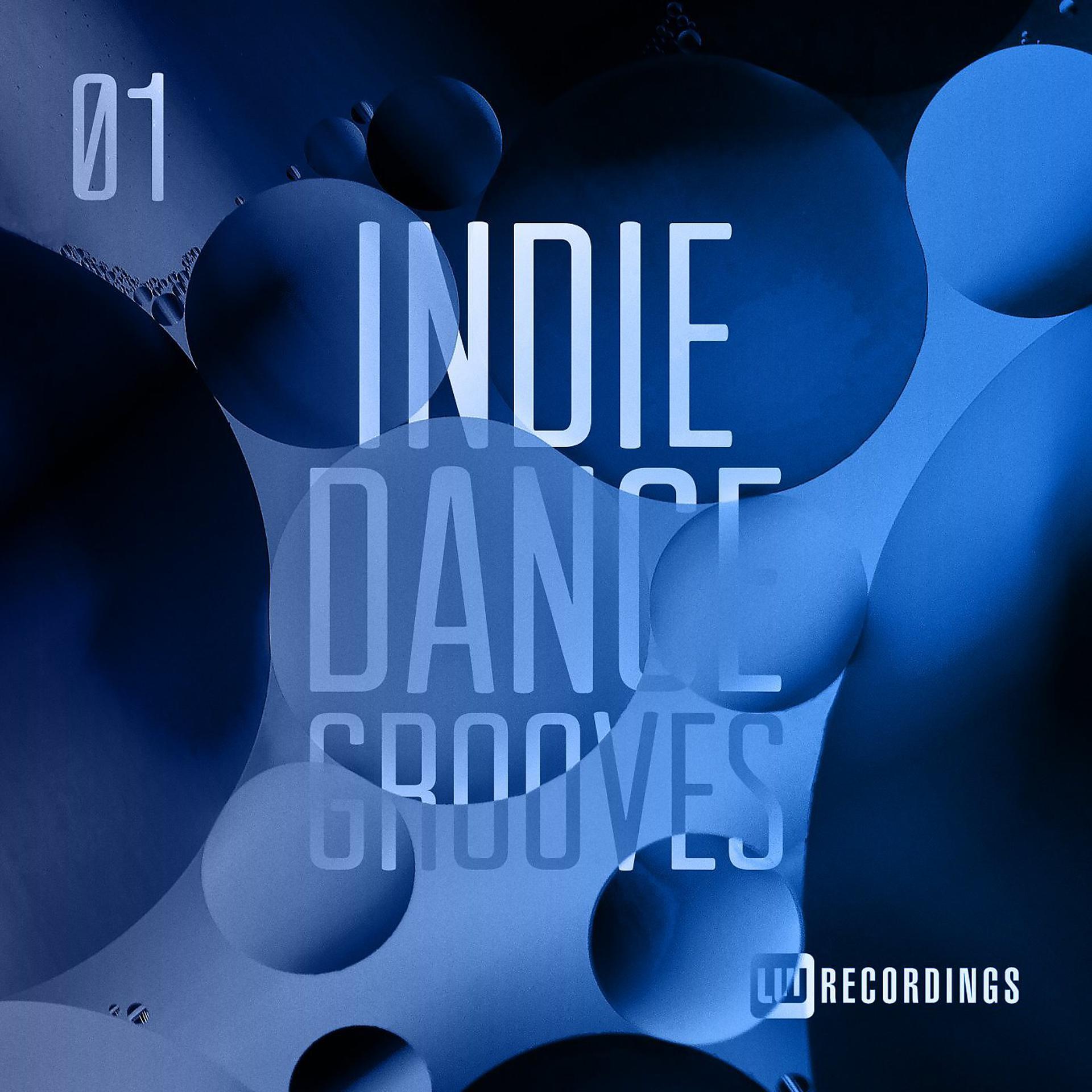 Постер альбома Indie Dance Grooves, Vol. 01