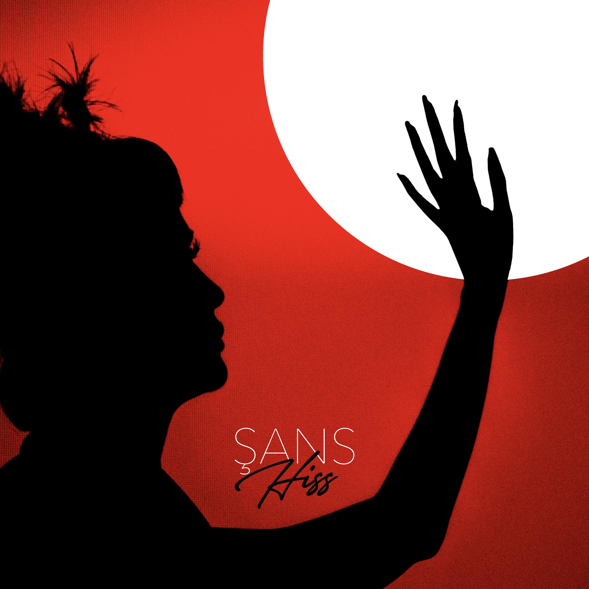 Постер альбома Şans