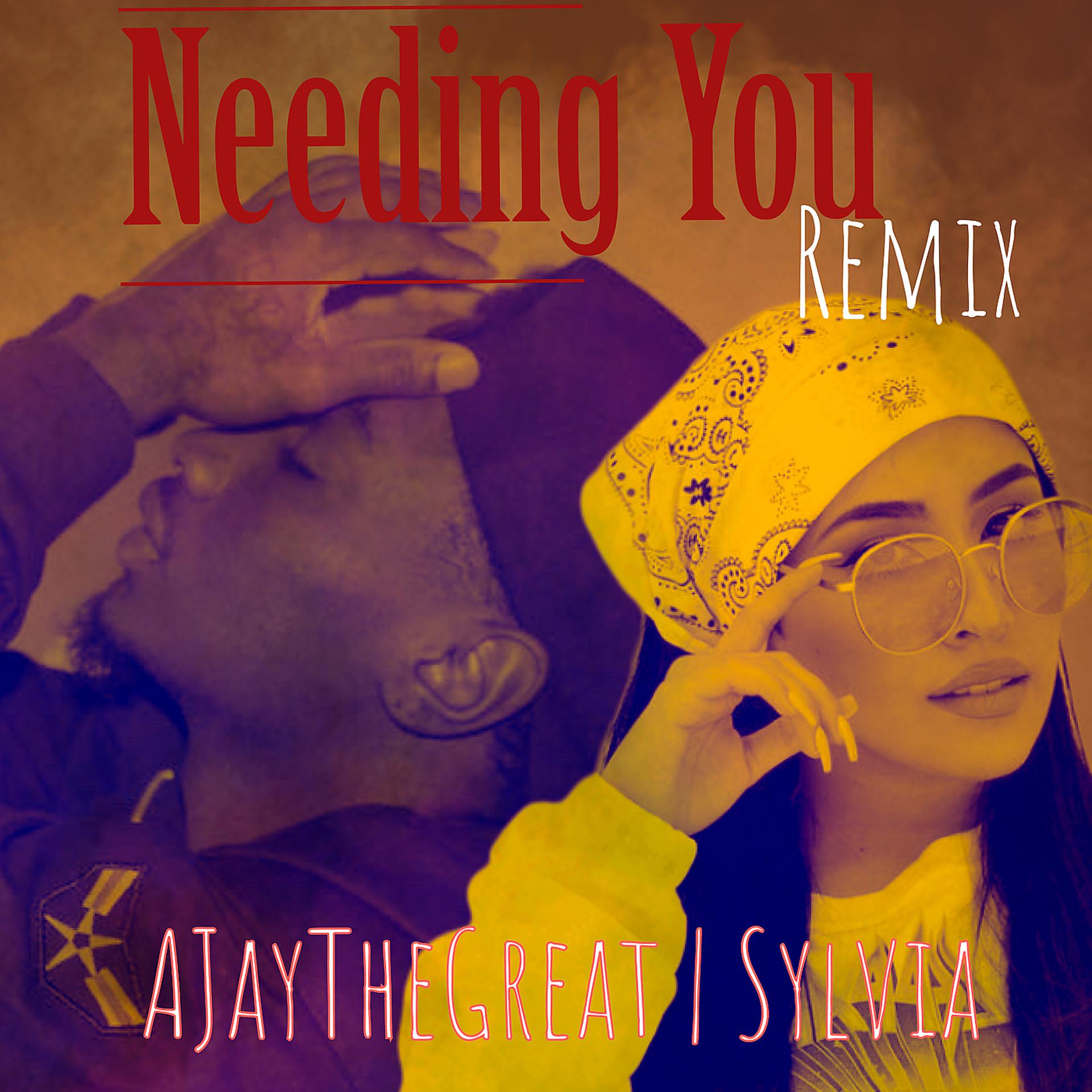 Постер альбома Needing You (Remix)