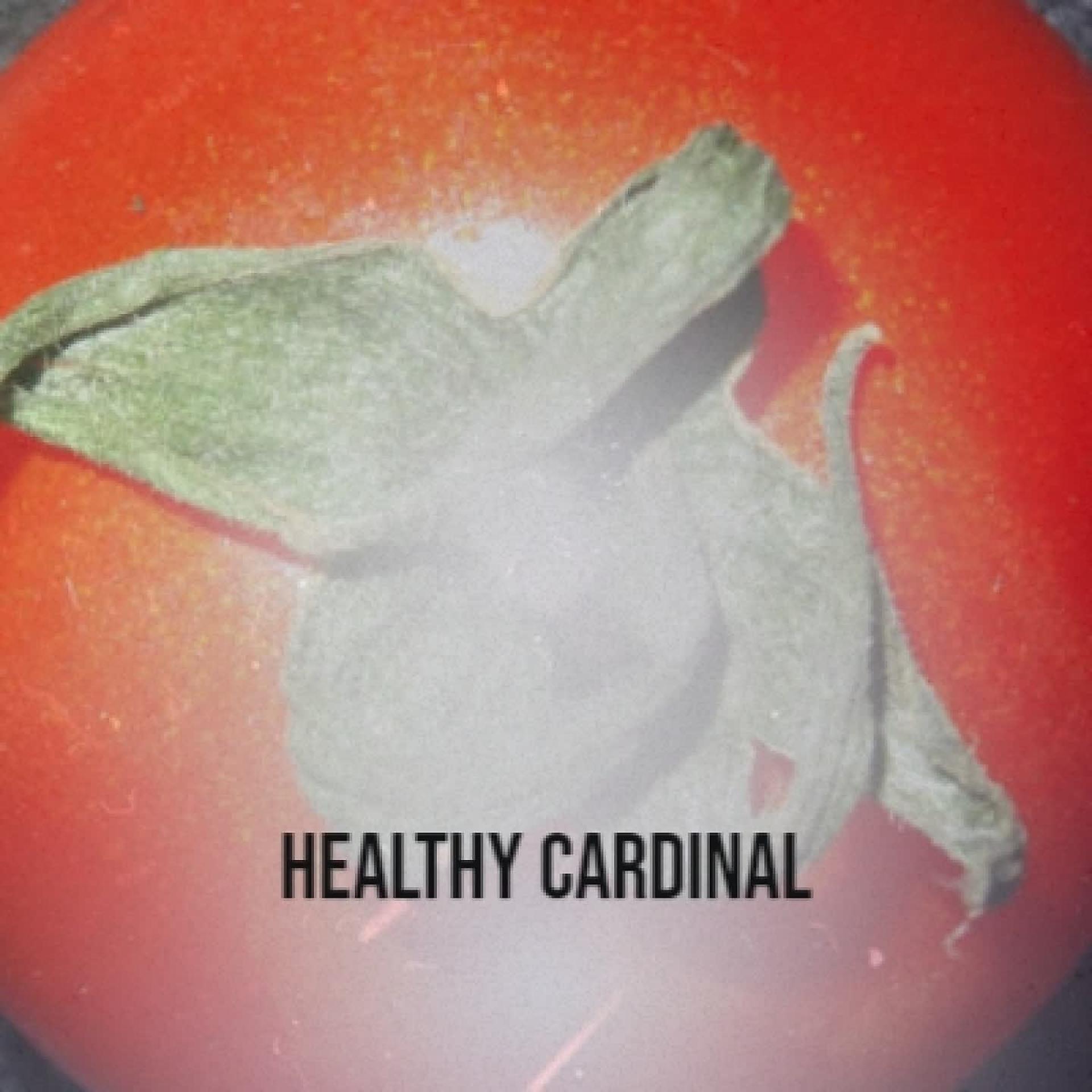 Постер альбома Healthy Cardinal