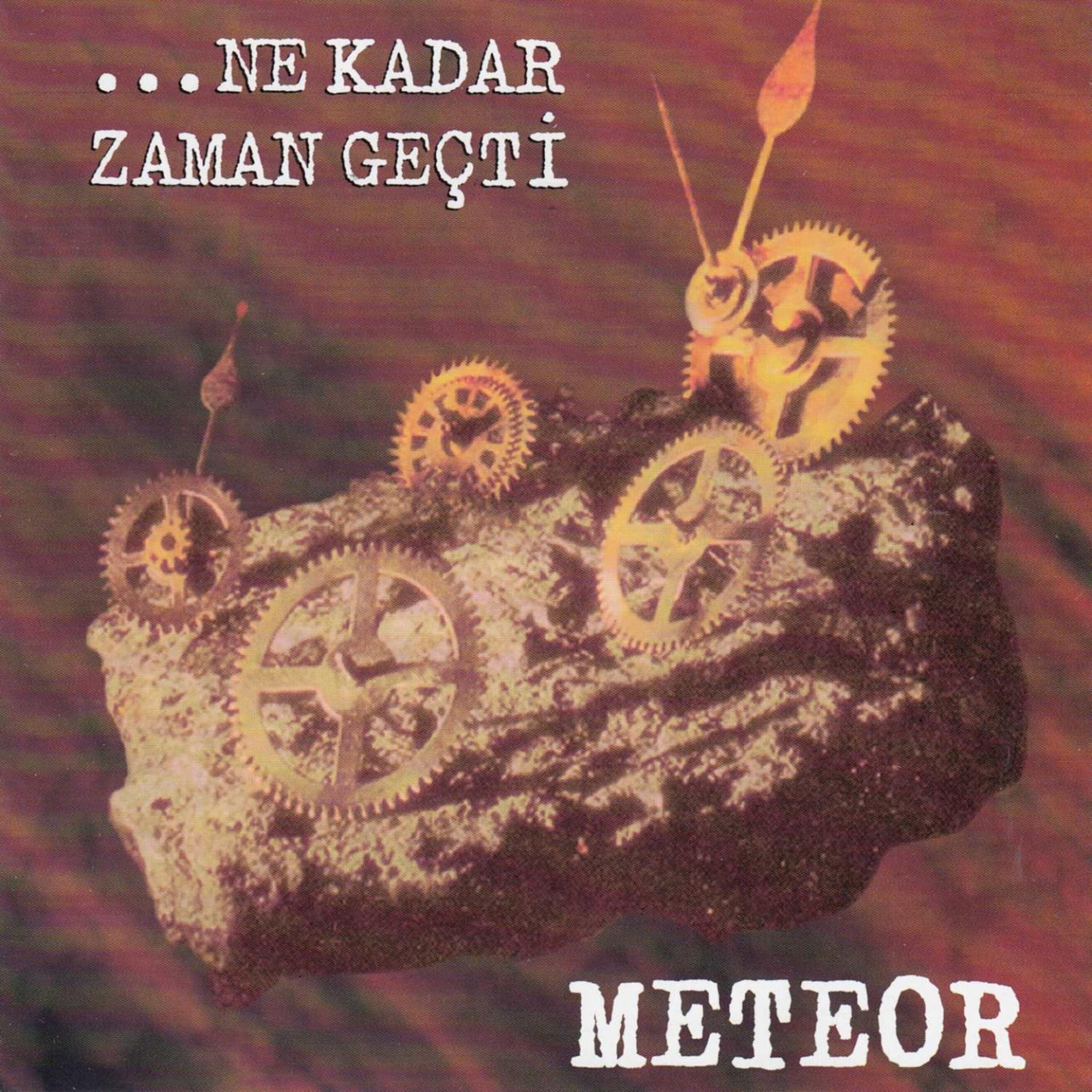 Постер альбома Ne Kadar Zaman Geçti