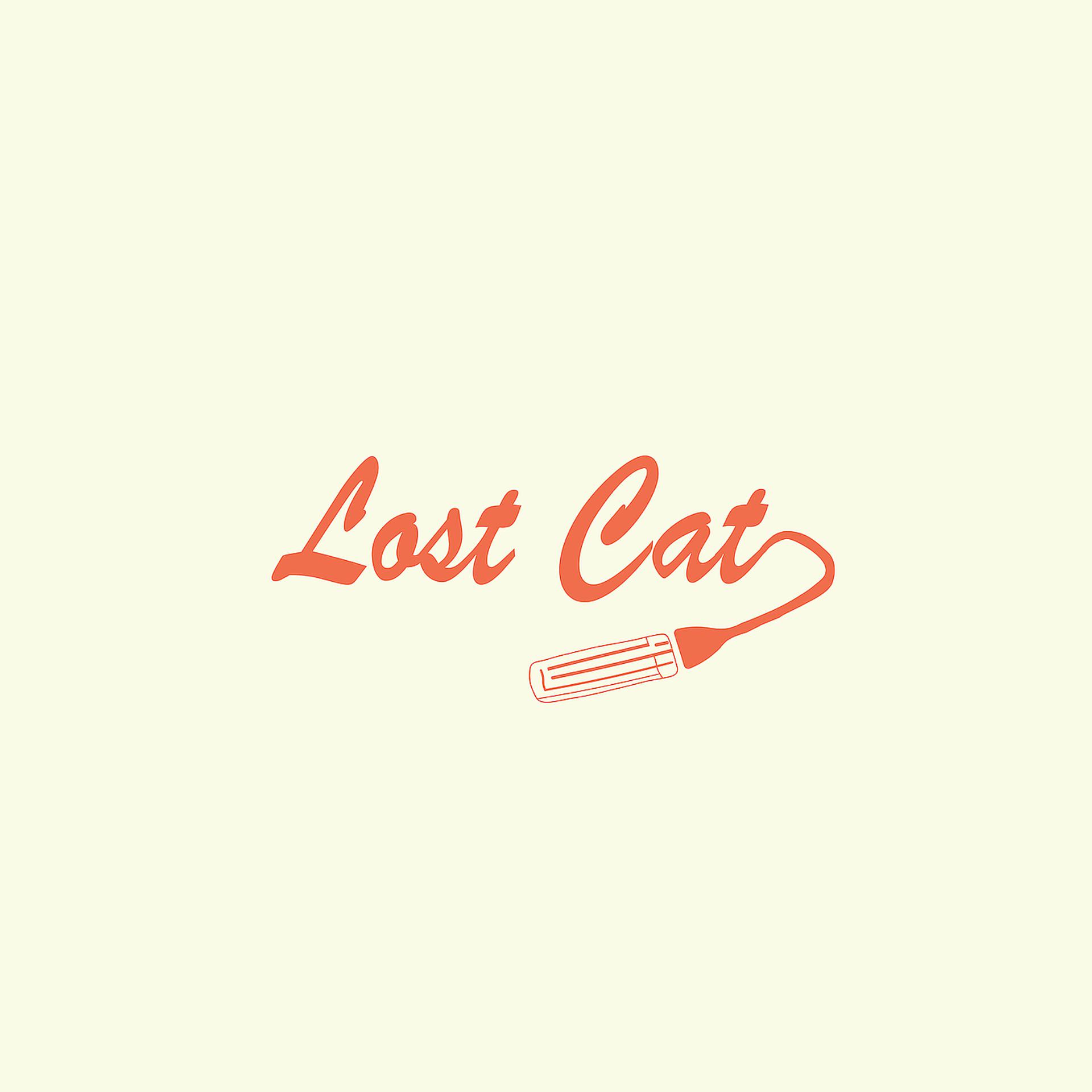 Постер альбома Lost Cat