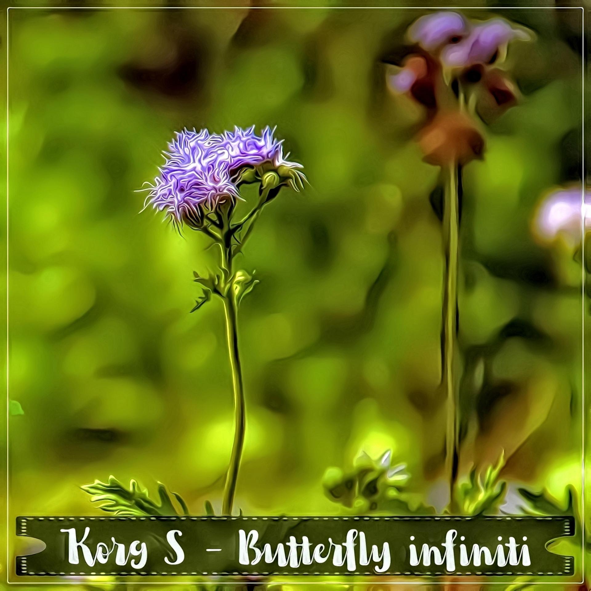 Постер альбома Butterfly Infiniti