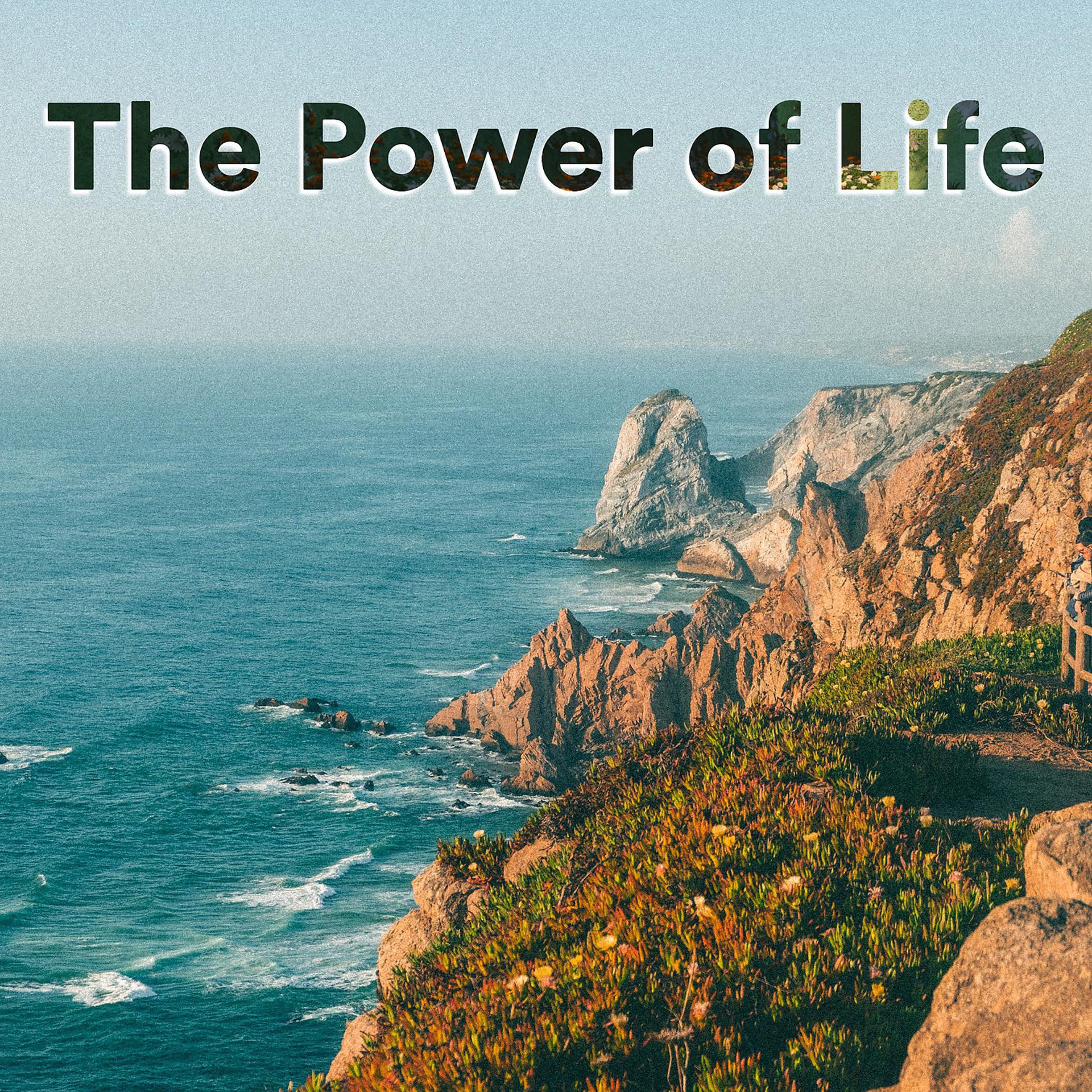 Постер альбома The Power of Life