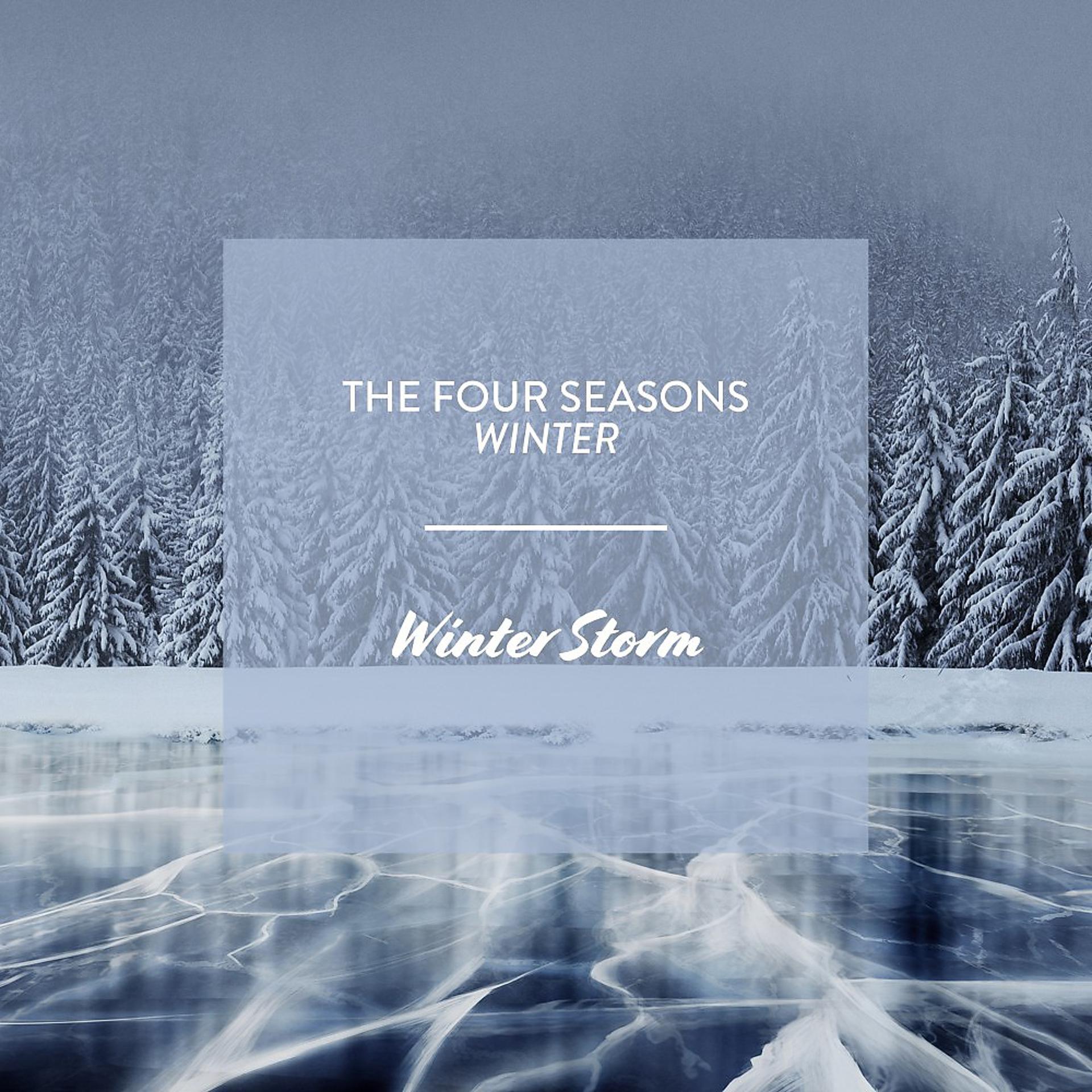 Постер альбома The Four Seasons - Winter: Winter Storm