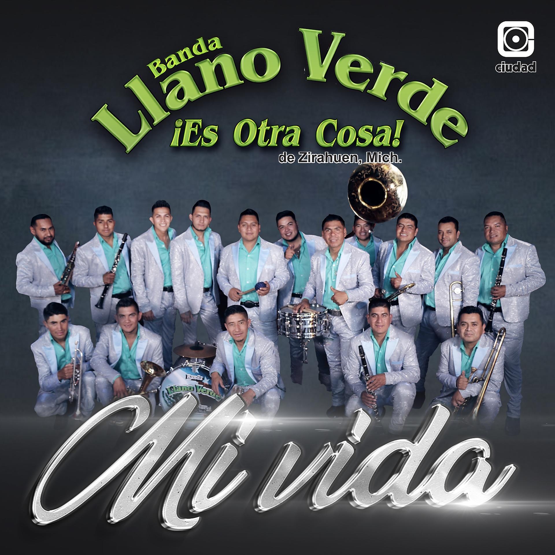 Постер альбома Mi vida