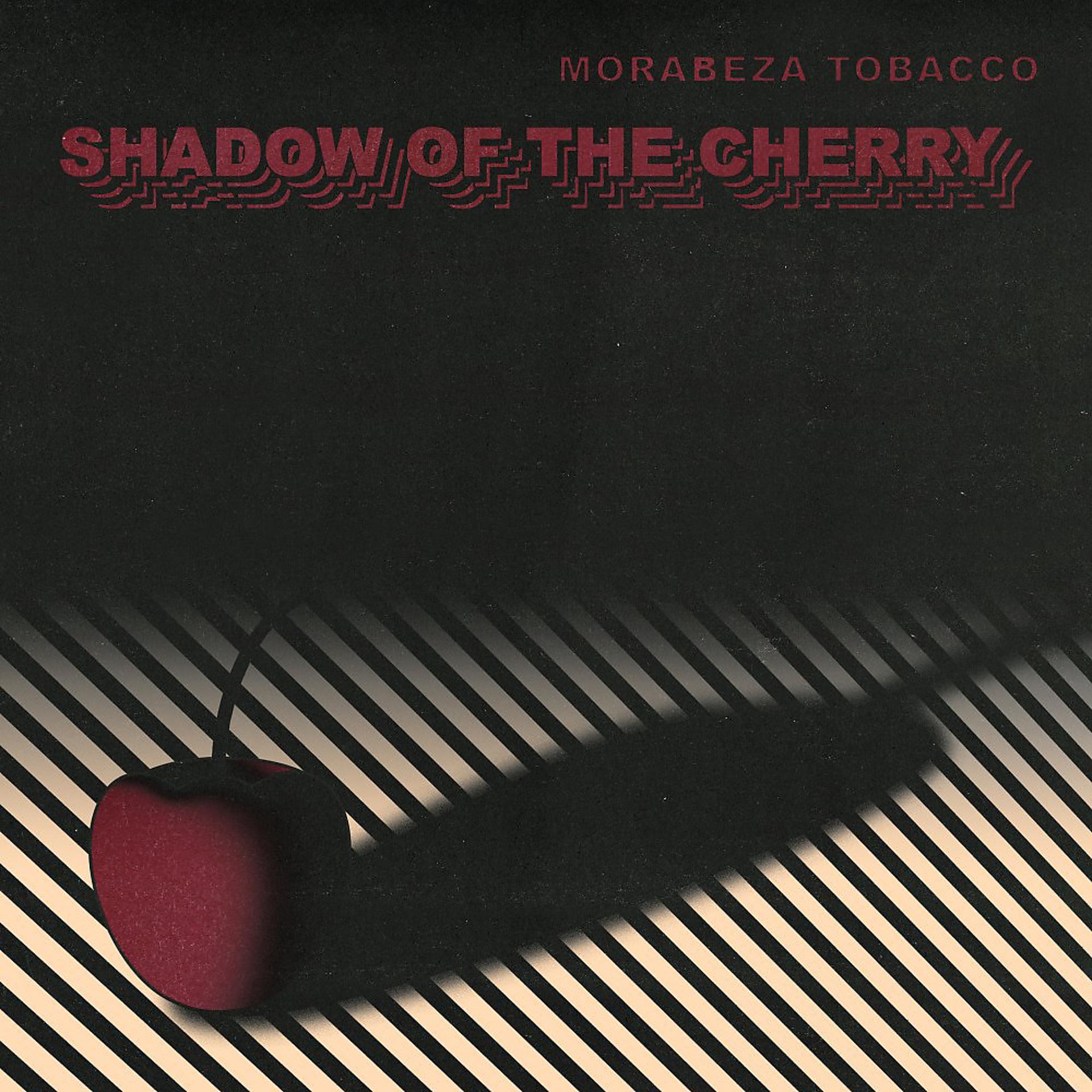 Постер альбома Shadow of the Cherry