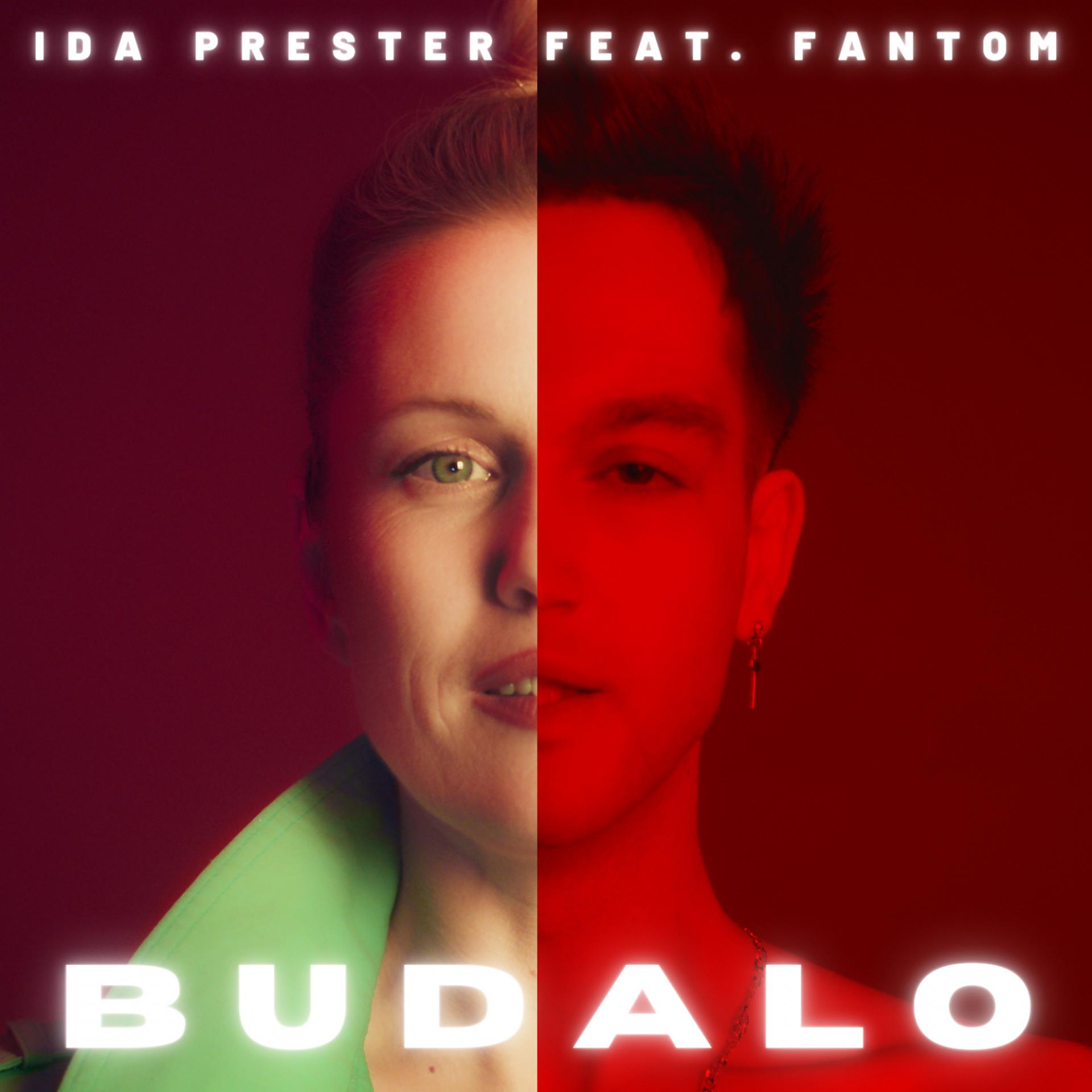 Постер альбома Budalo