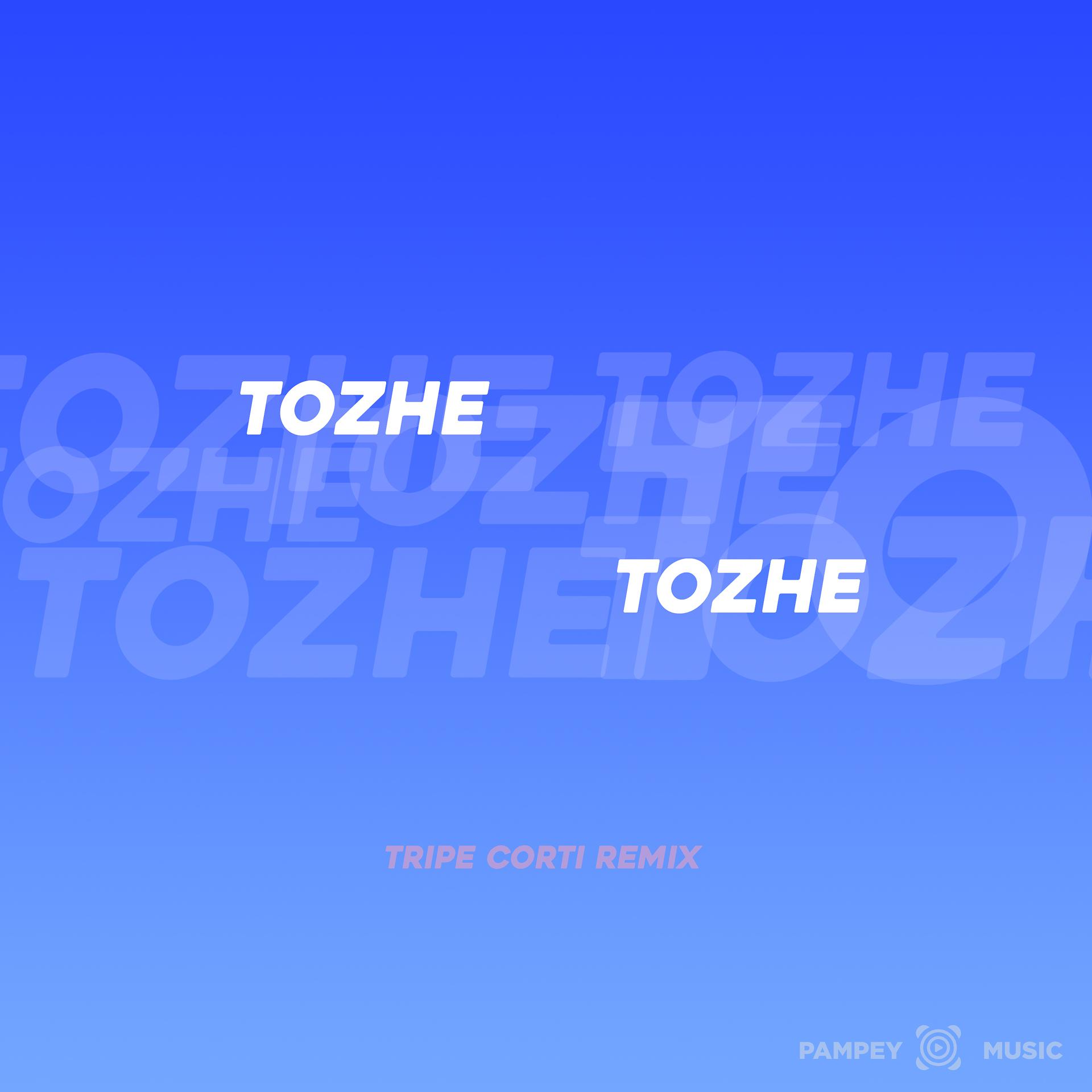 Постер альбома tozhe (Tripe Corti Remix)