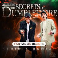 Постер альбома Fantastic Beasts (TRINIX Remix)