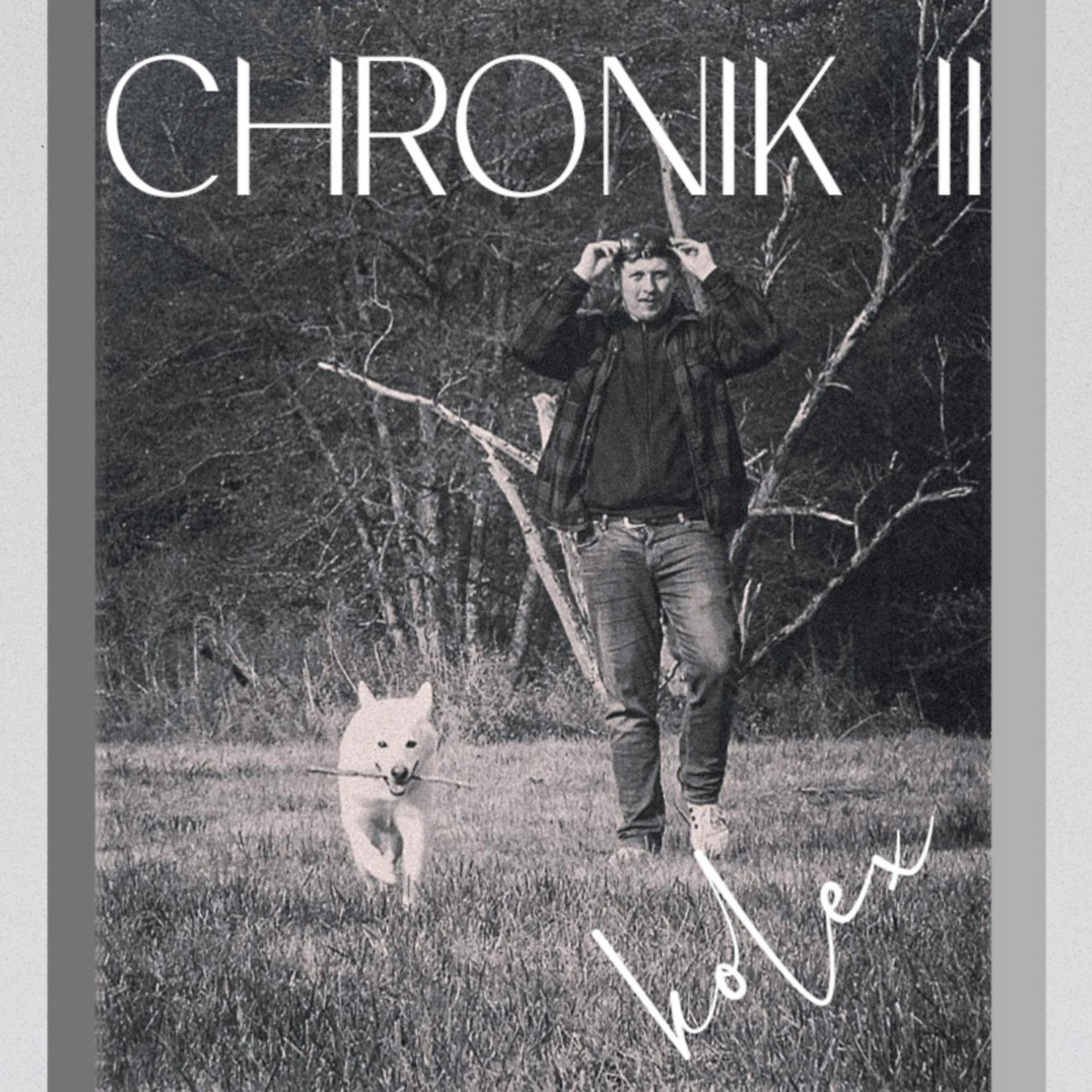 Постер альбома Chronik 2