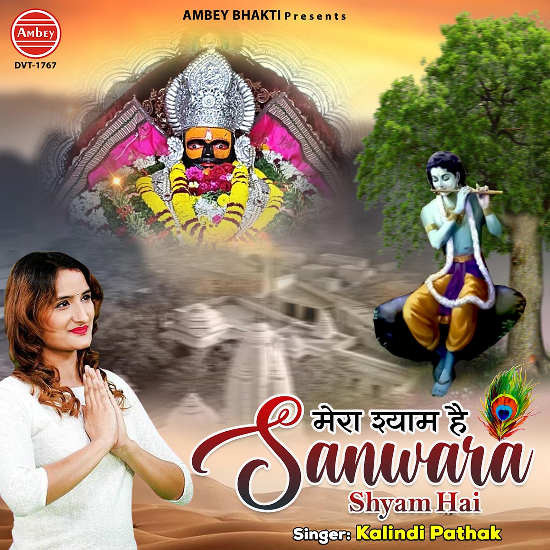 Постер альбома Mera Shyam Hai Sanwara Shyam Hai