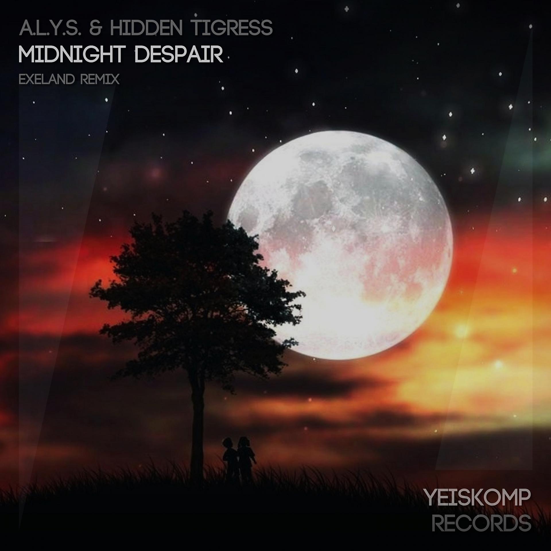 Постер альбома Midnight Despair