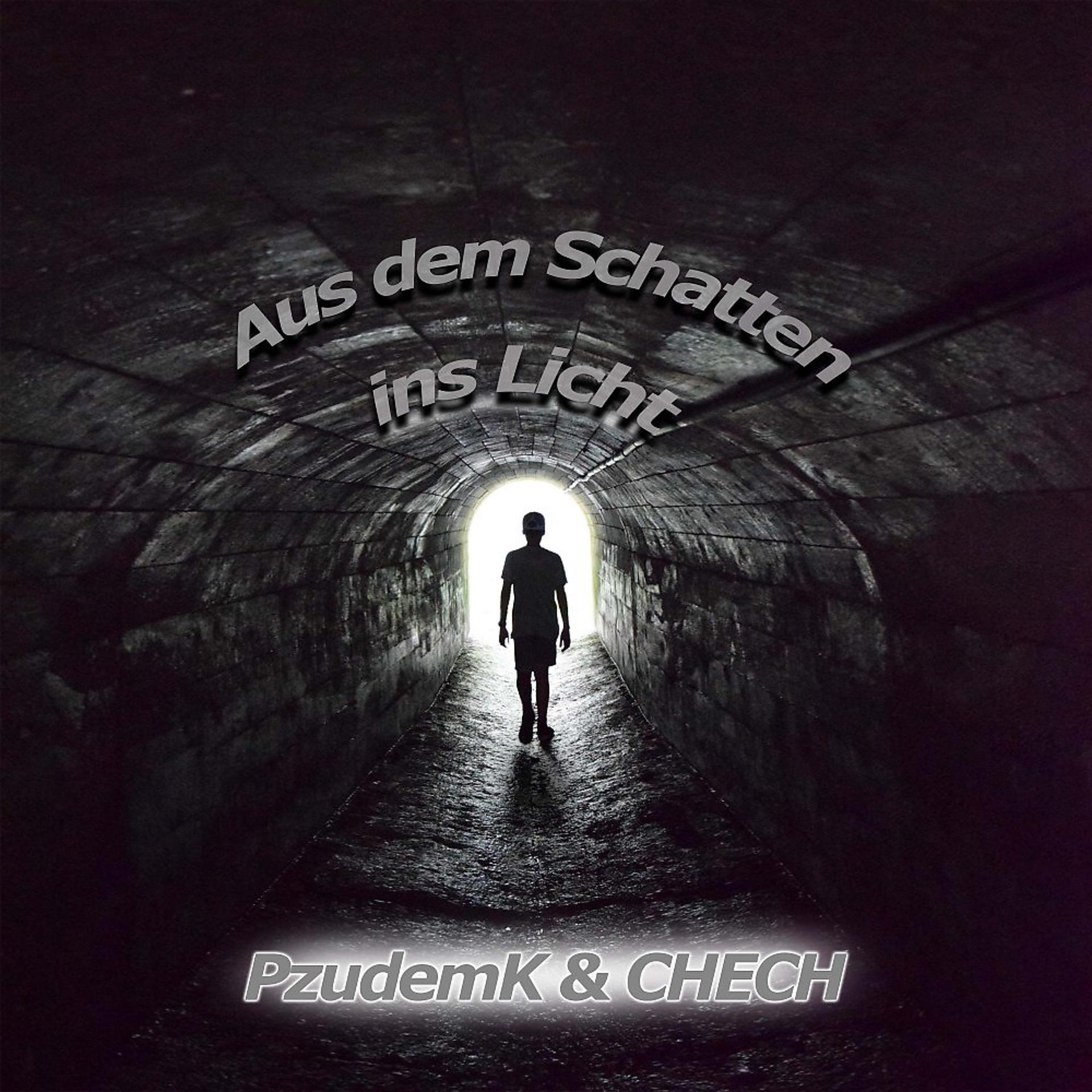 Постер альбома Aus dem Schatten ins Licht