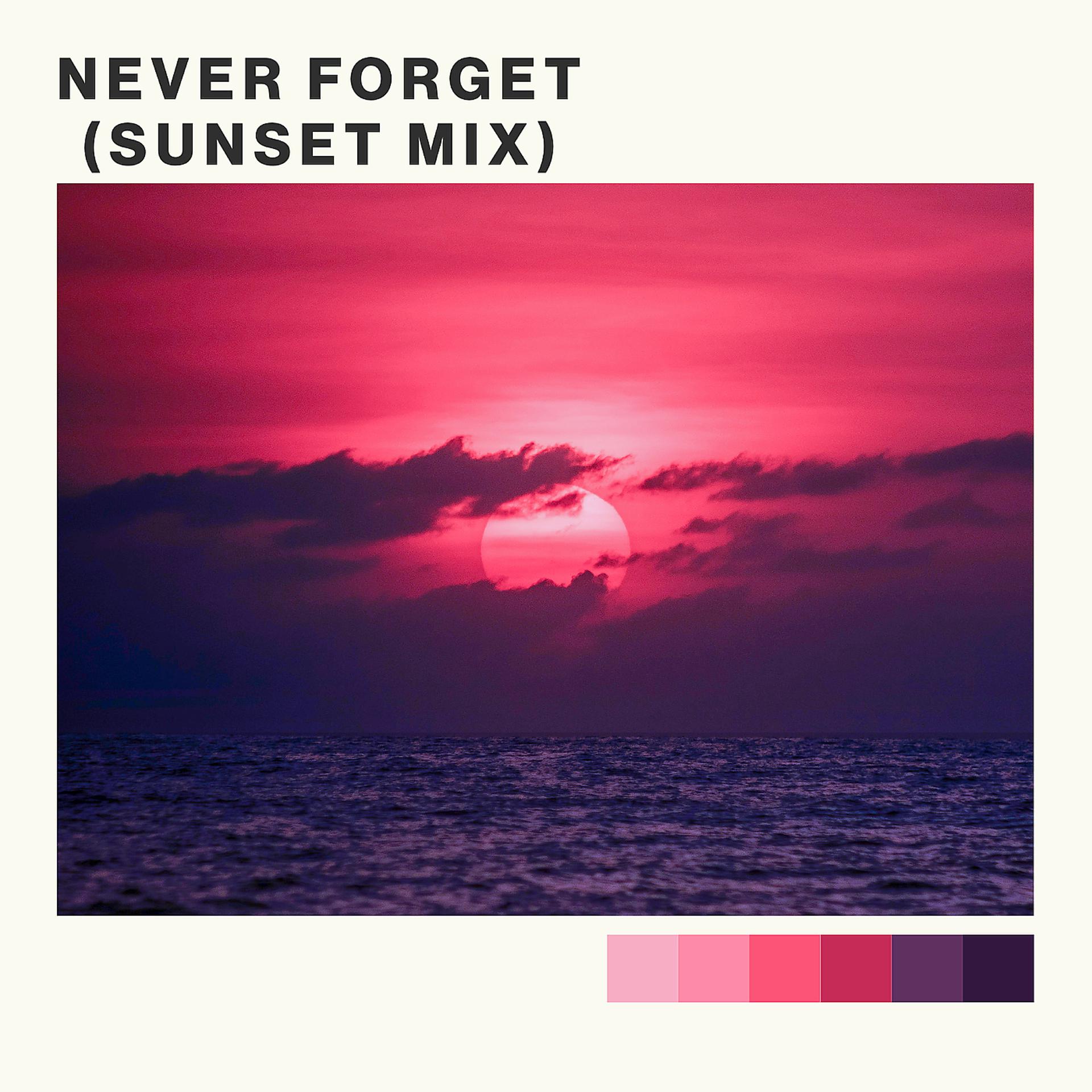 Постер альбома Never Forget (Sunset Mix)