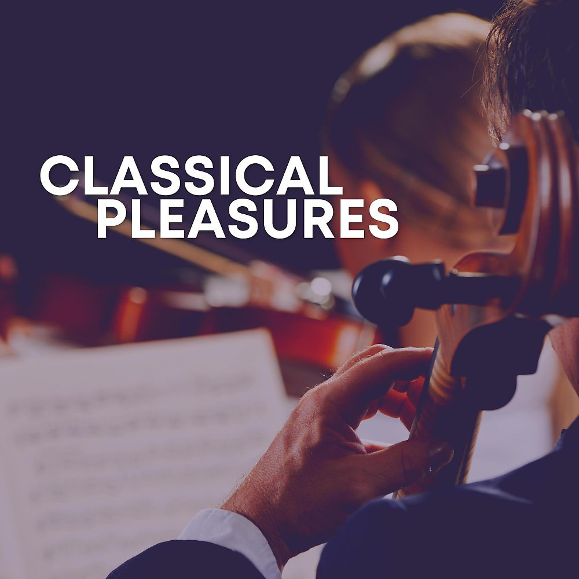Постер альбома Classical Pleasures