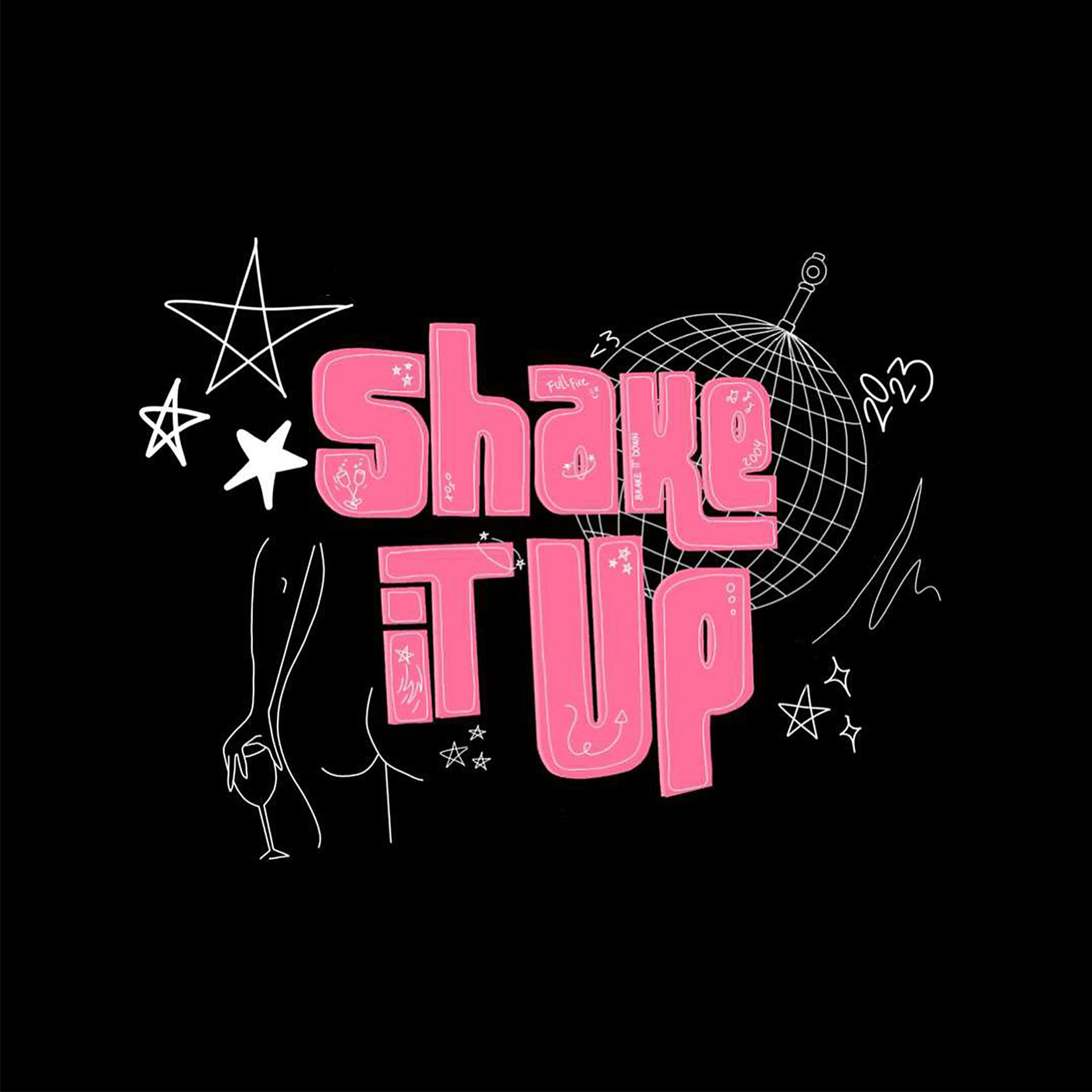 Постер альбома Shake It up 2023
