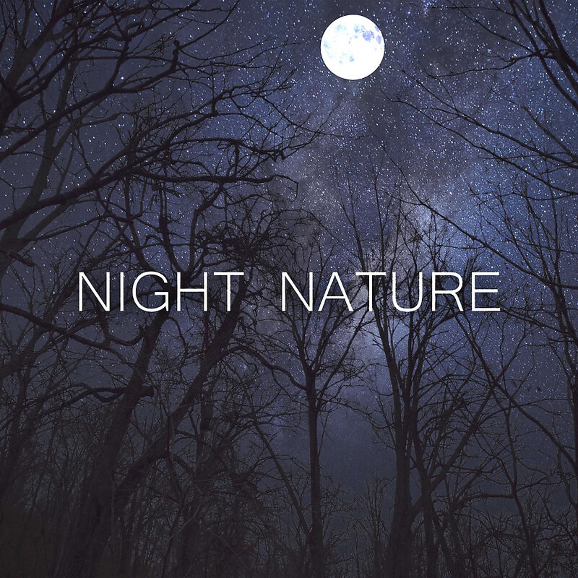 Постер альбома Night Nature