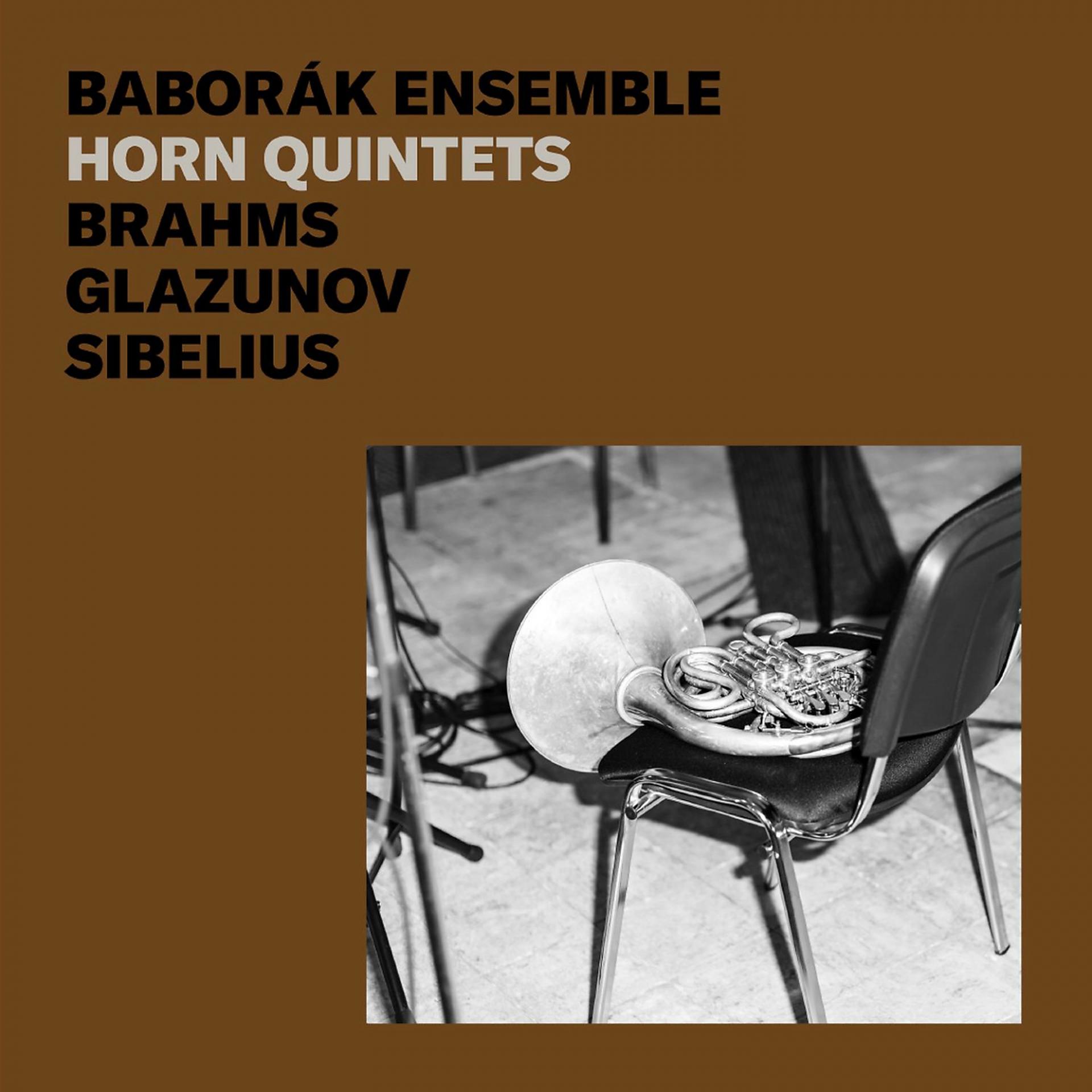 Постер альбома Brahms, Glazunov, Sibelius: Horn Quintets