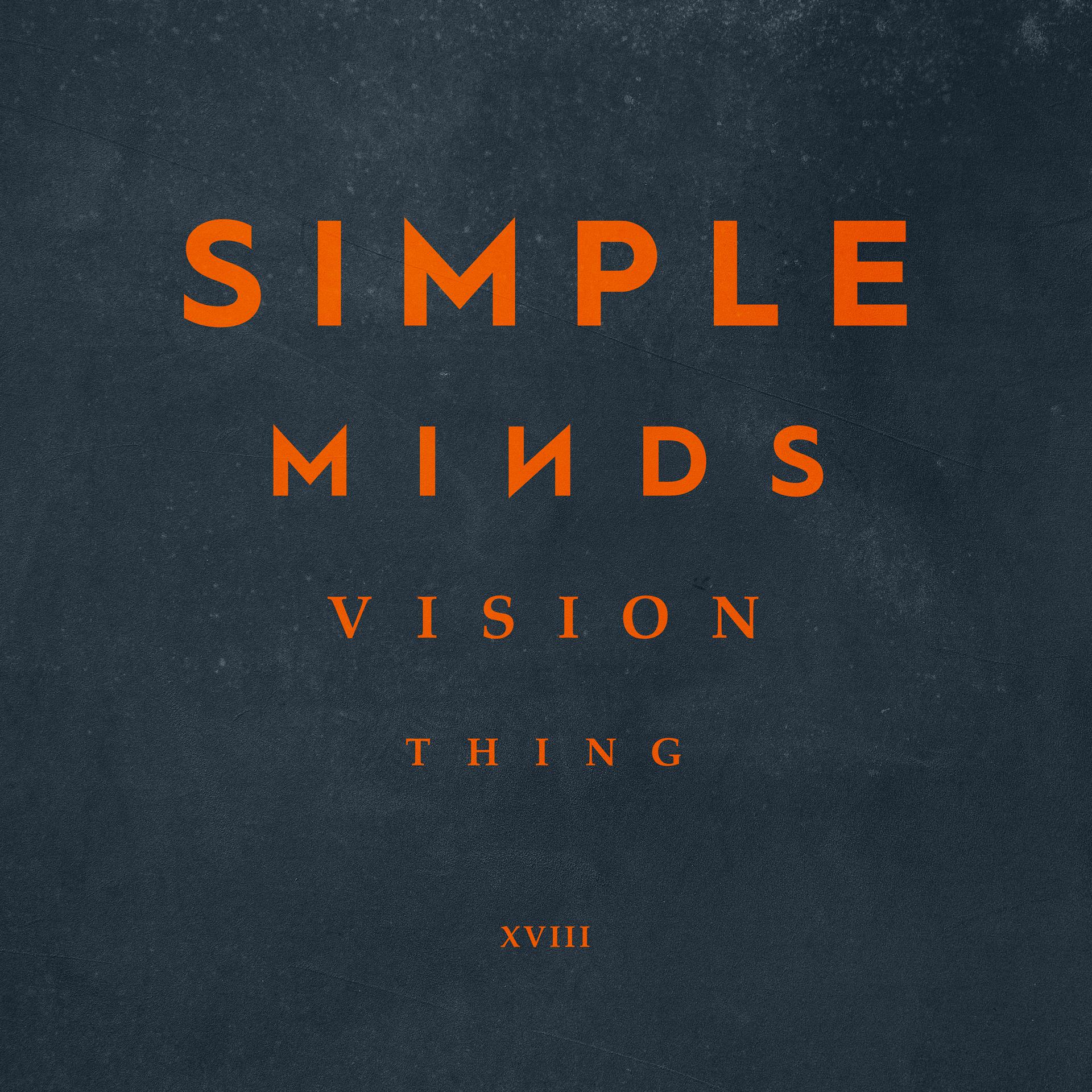 Постер альбома Vision Thing
