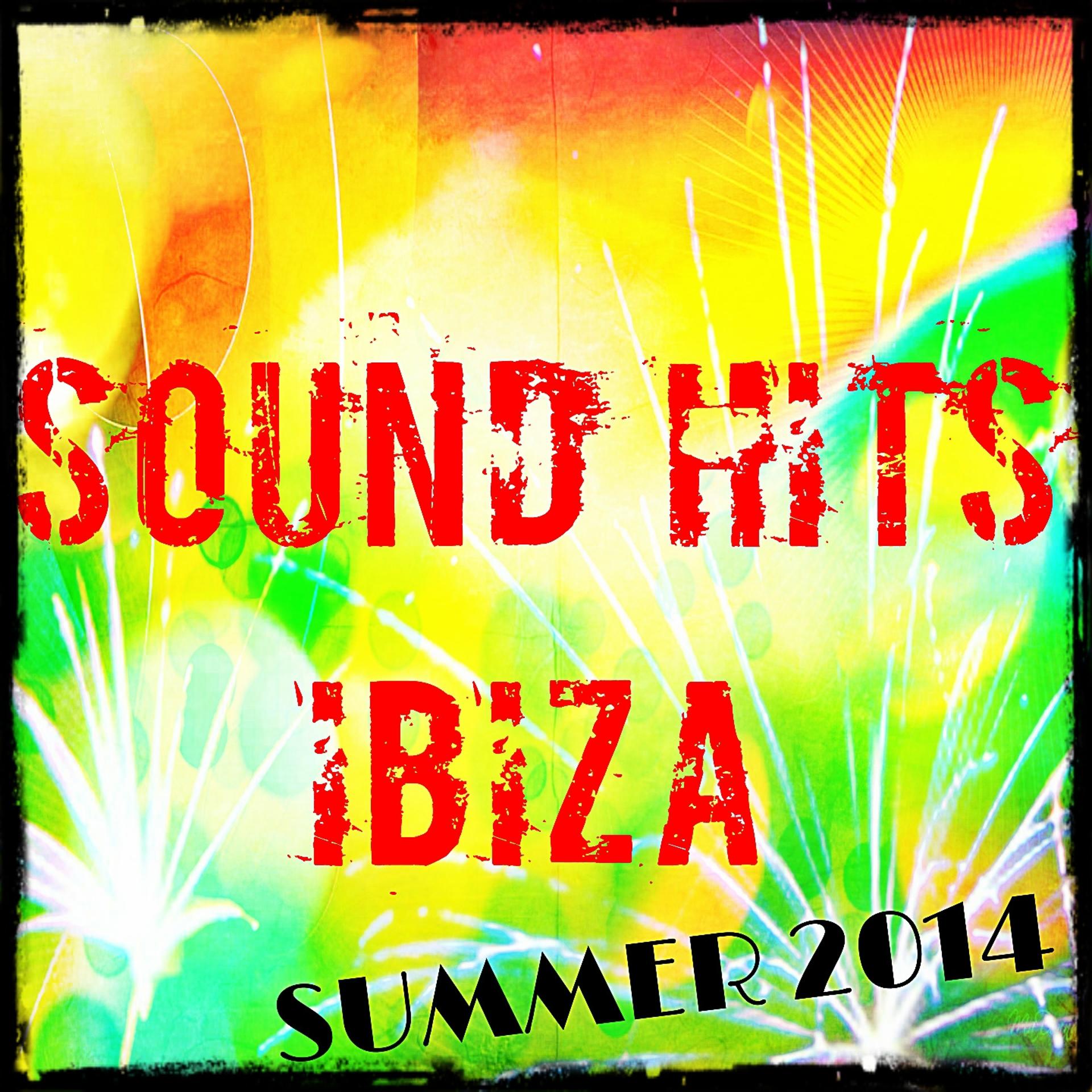 Постер альбома Sound Hits Ibiza Summer 2014