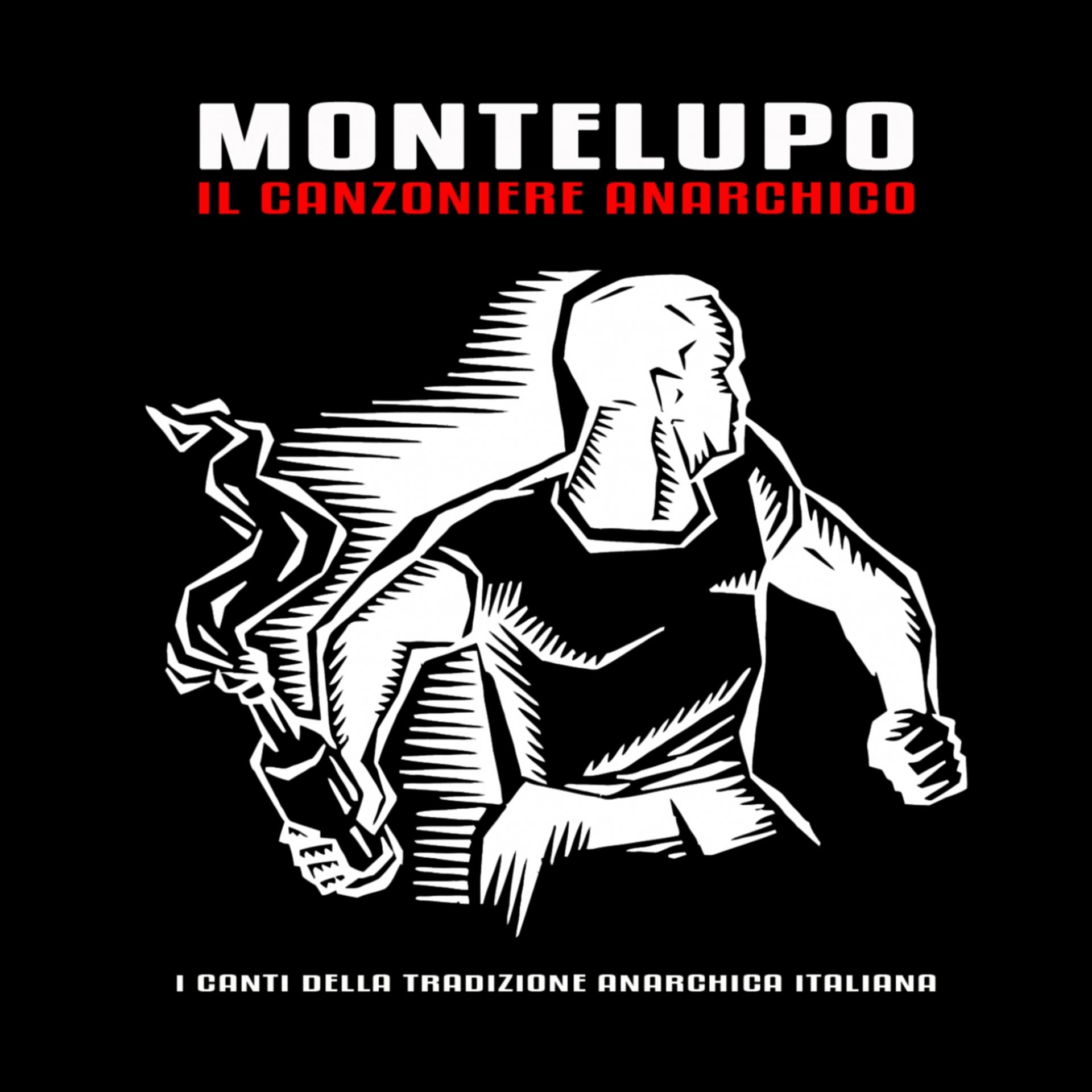 Постер альбома Il canzoniere anarchico (I canti della tradizione anarchica italiana)