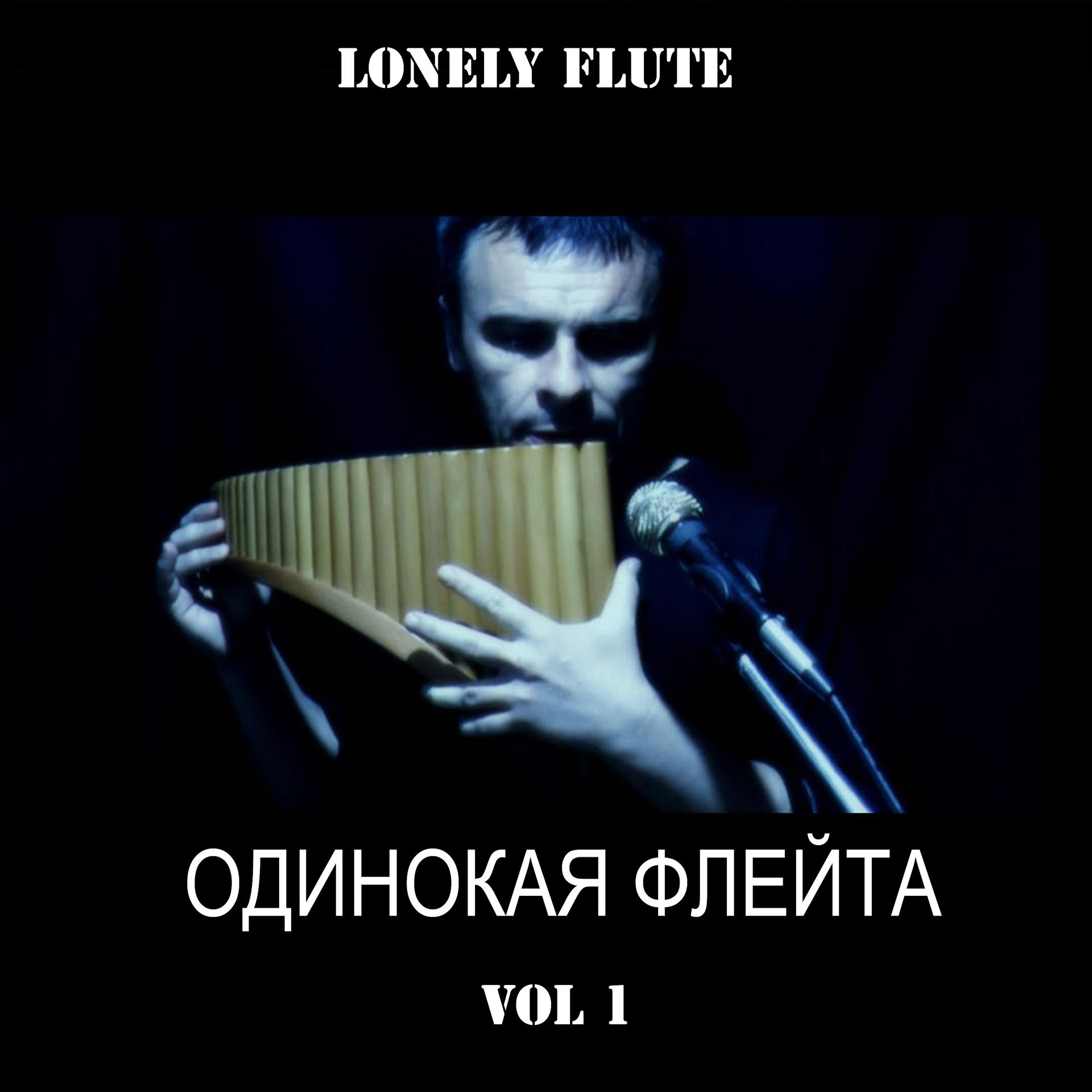 Постер альбома Lonely Flute