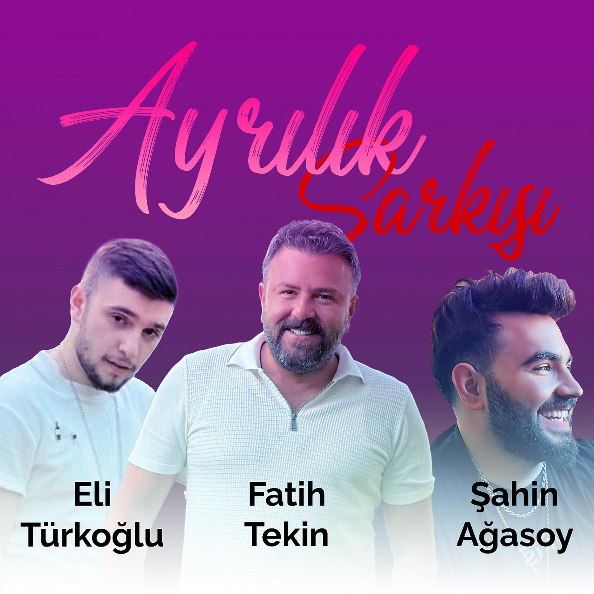 Постер альбома Ayrılık Şarkısı