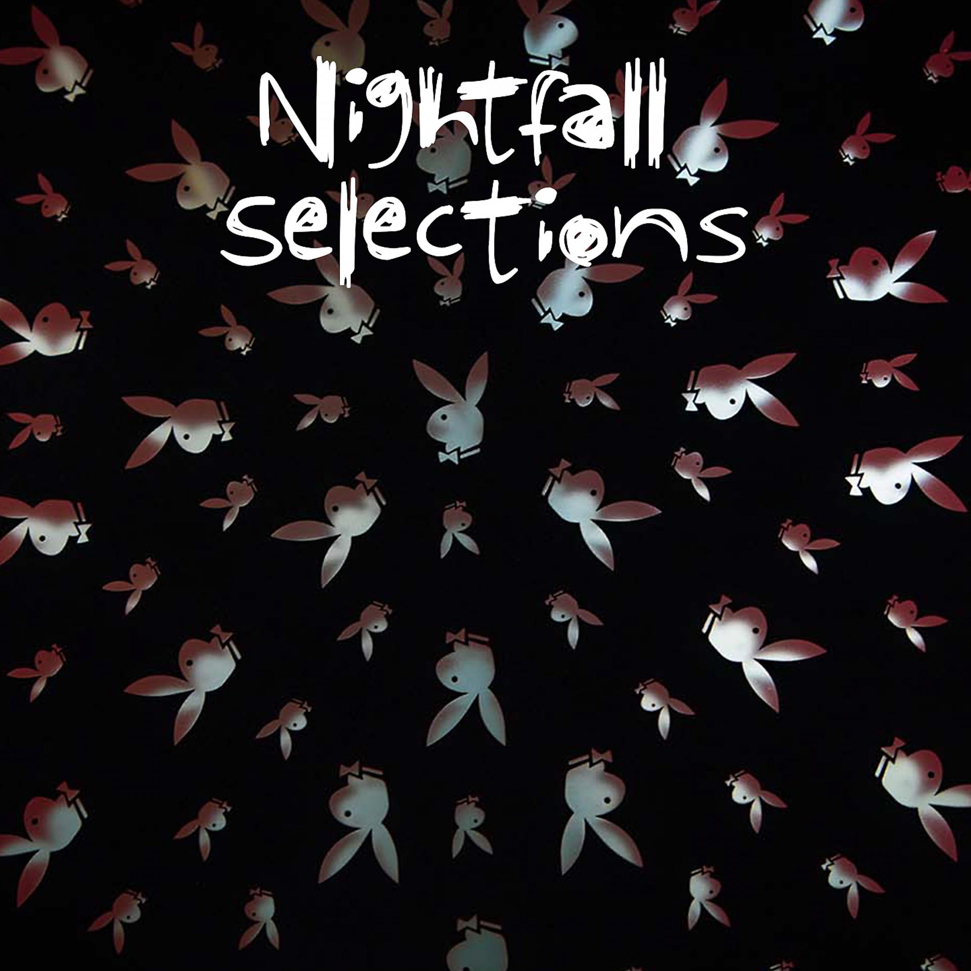 Постер альбома Nightfall Selections