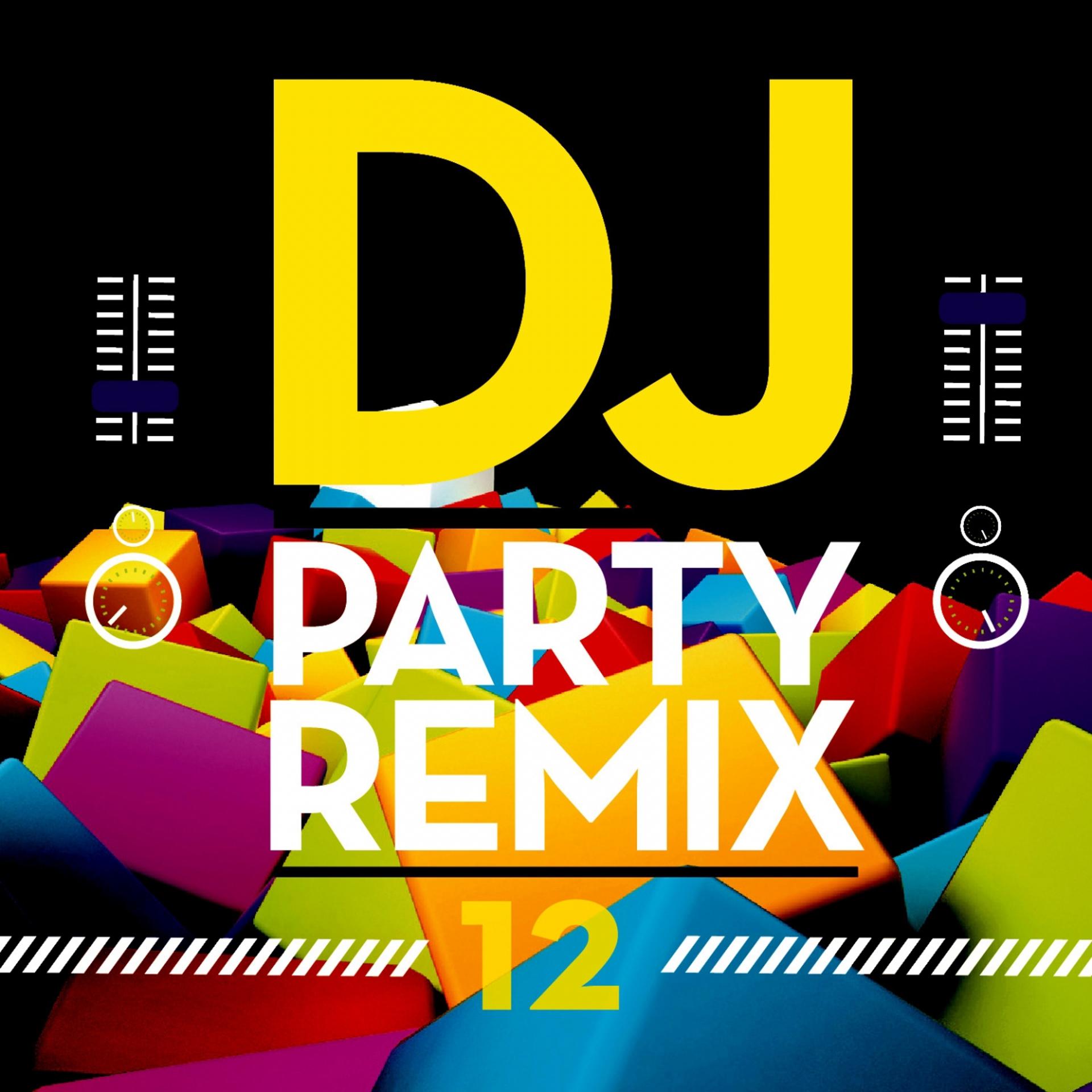 Постер альбома DJ Party Remix, Vol. 12