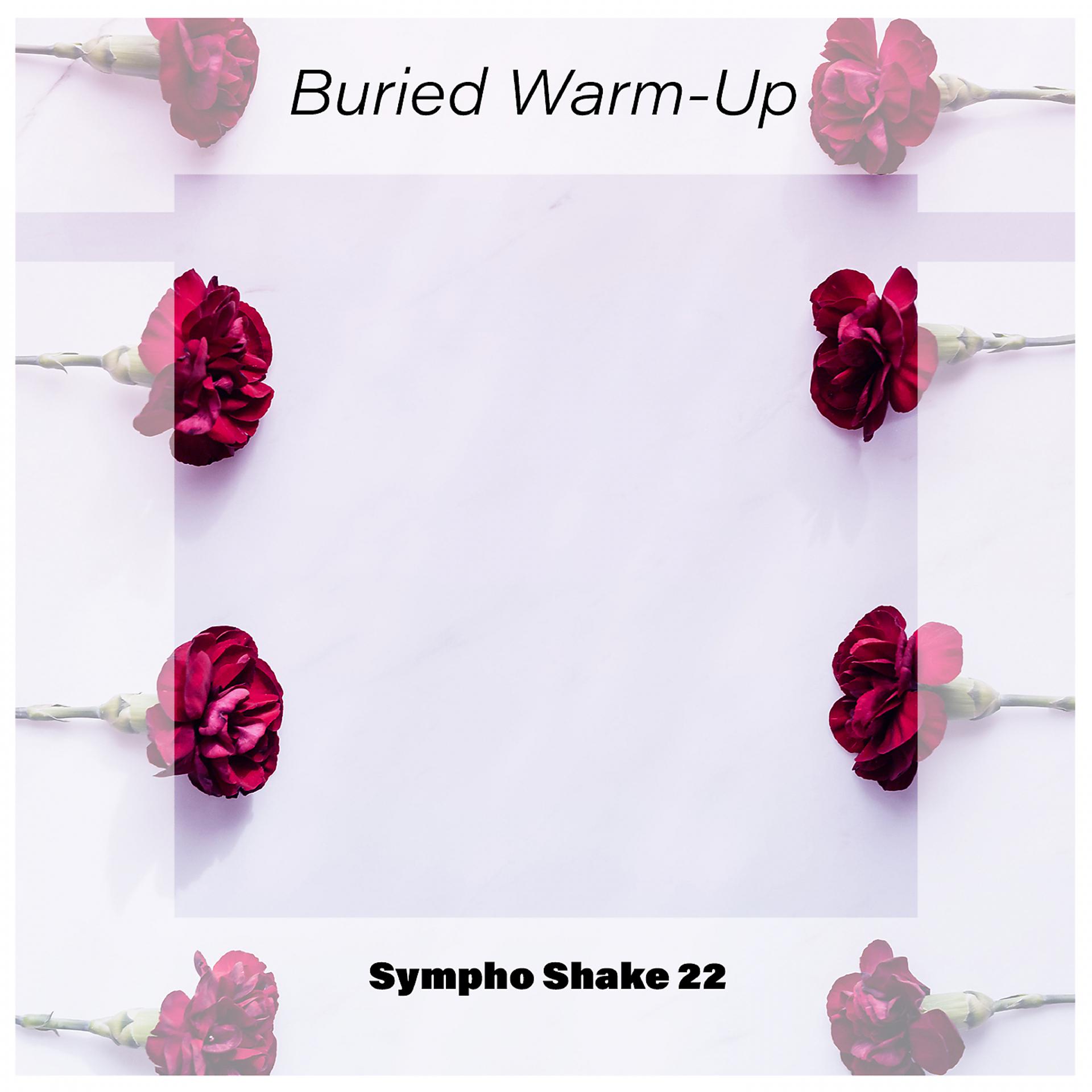 Постер альбома Buried Warm-Up Sympho Shake 22
